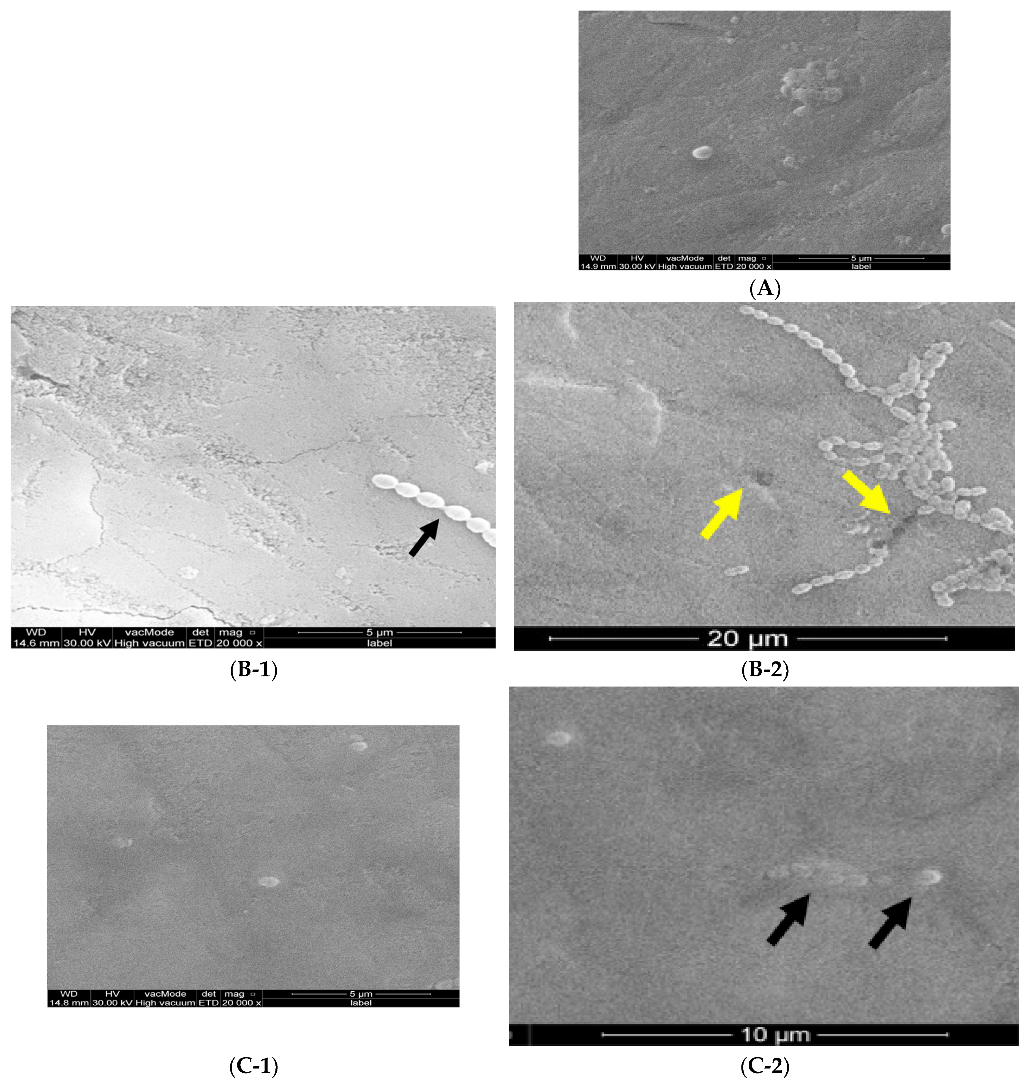 Coatings 13 01018 g003 Coatings 13 01018 g003