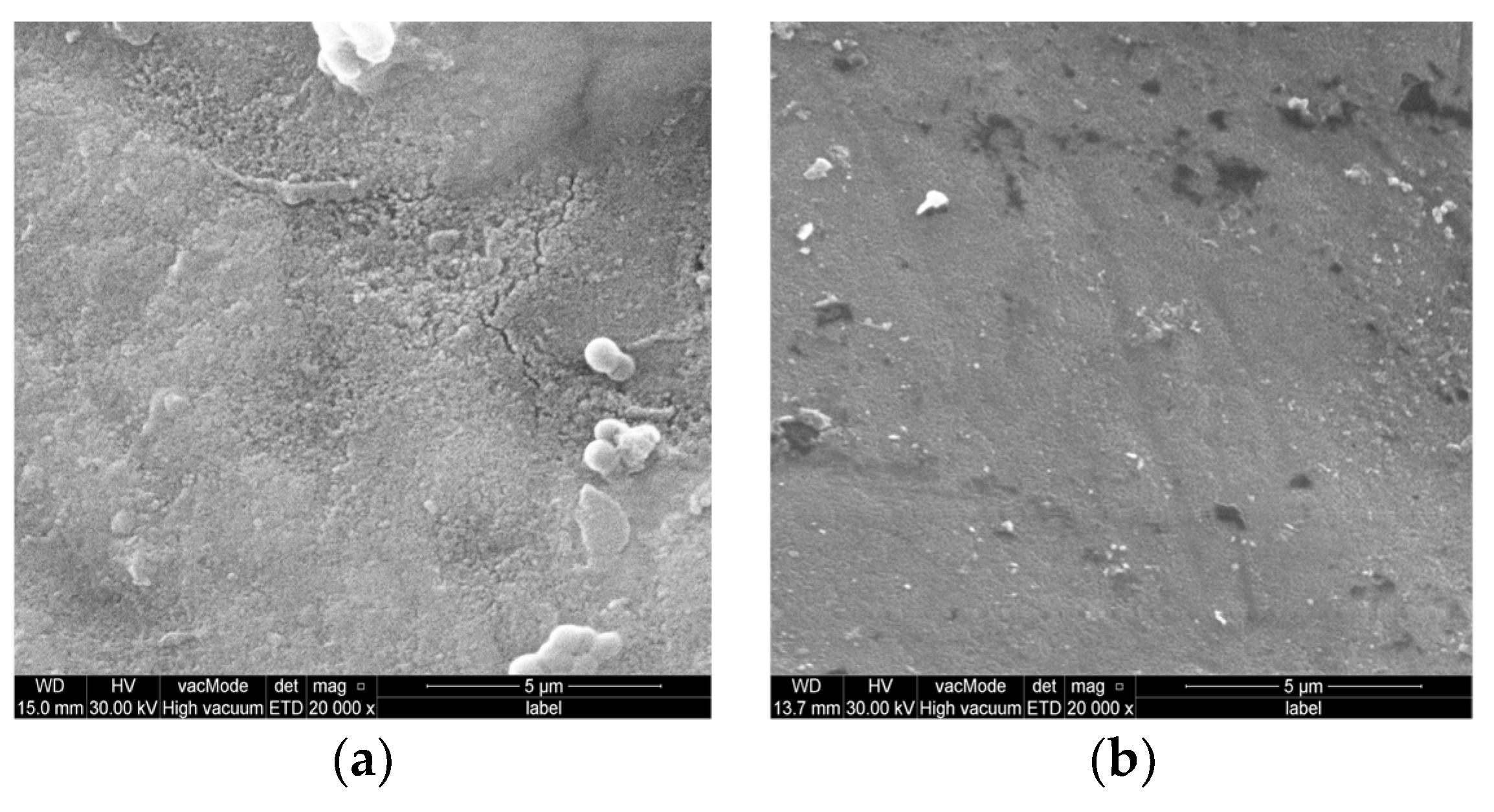 Coatings 13 01018 g004a Coatings 13 01018 g004a