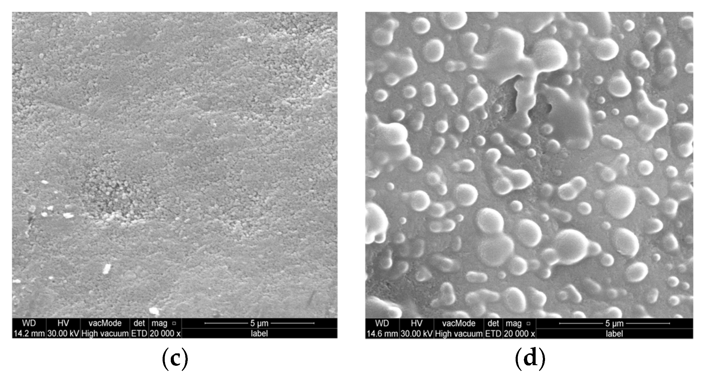 Coatings 13 01018 g004b Coatings 13 01018 g004b