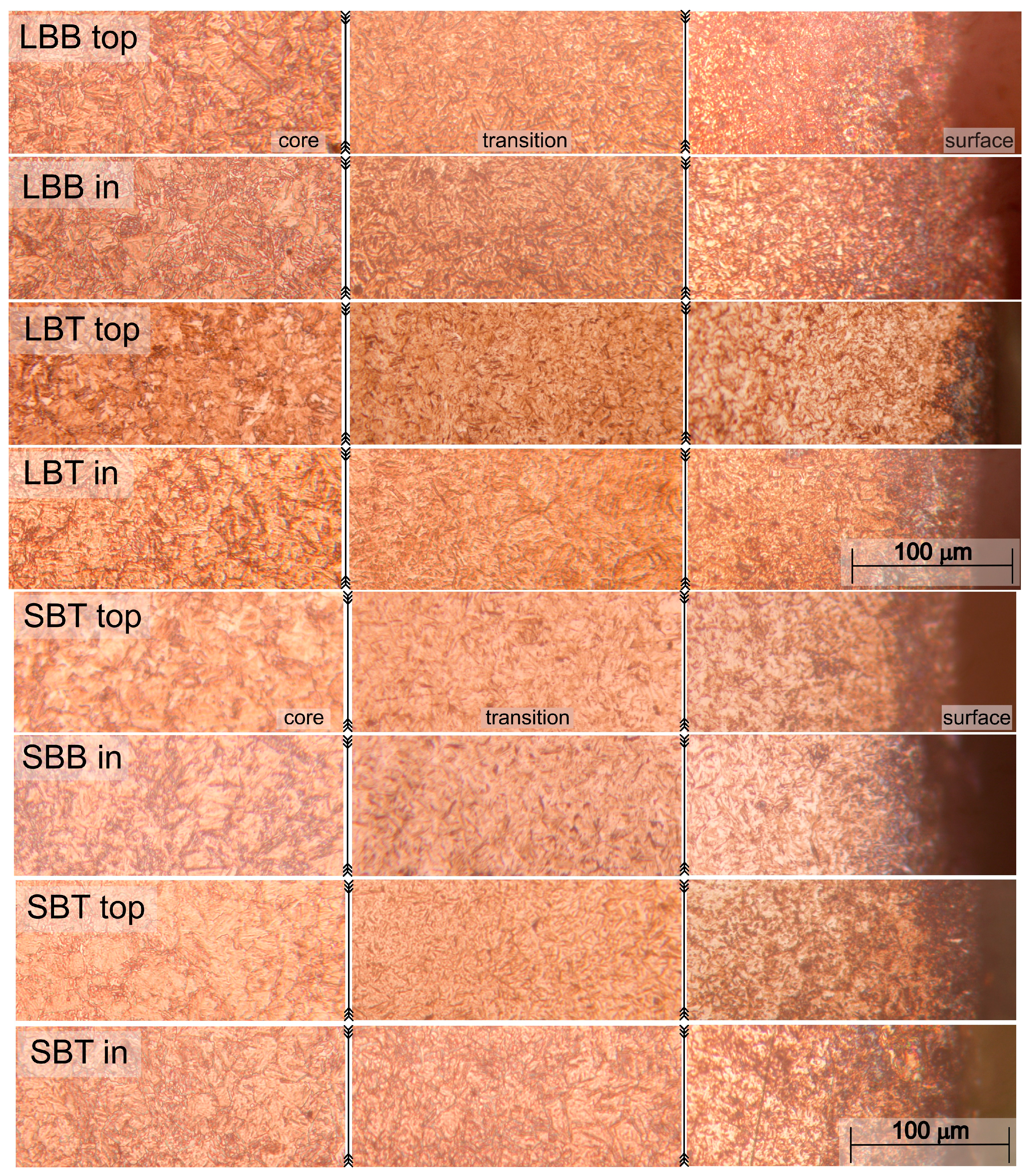 Coatings 13 01019 g004
