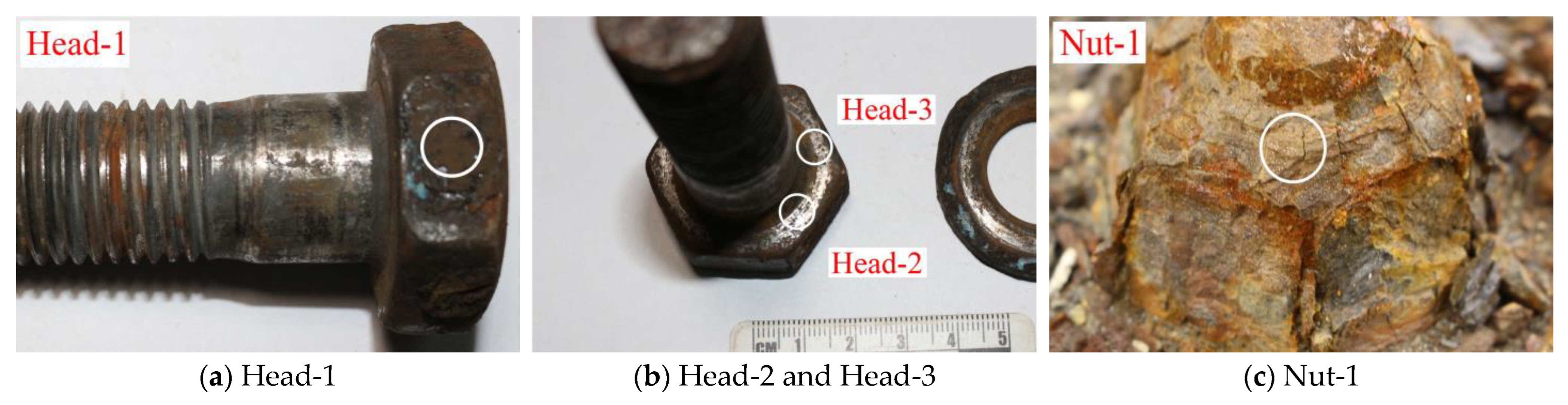Coatings 13 01023 g004a Coatings 13 01023 g004a