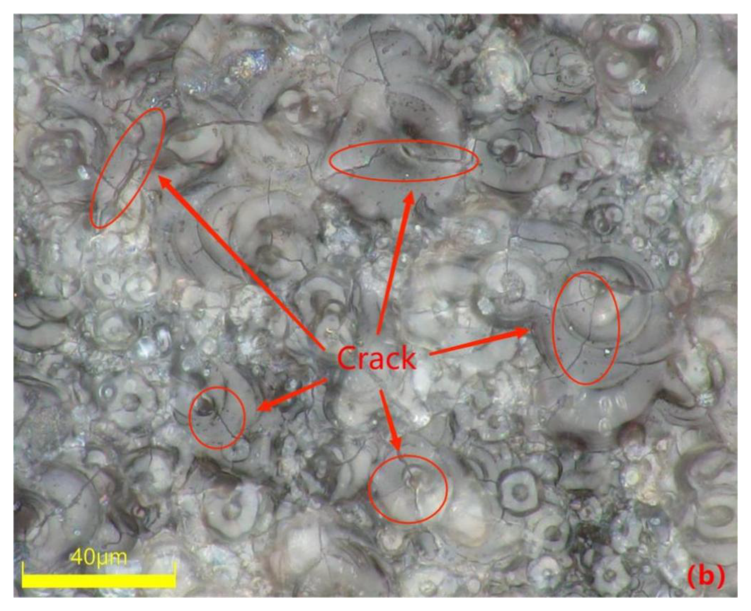 Coatings 13 01024 g003b Coatings 13 01024 g003b