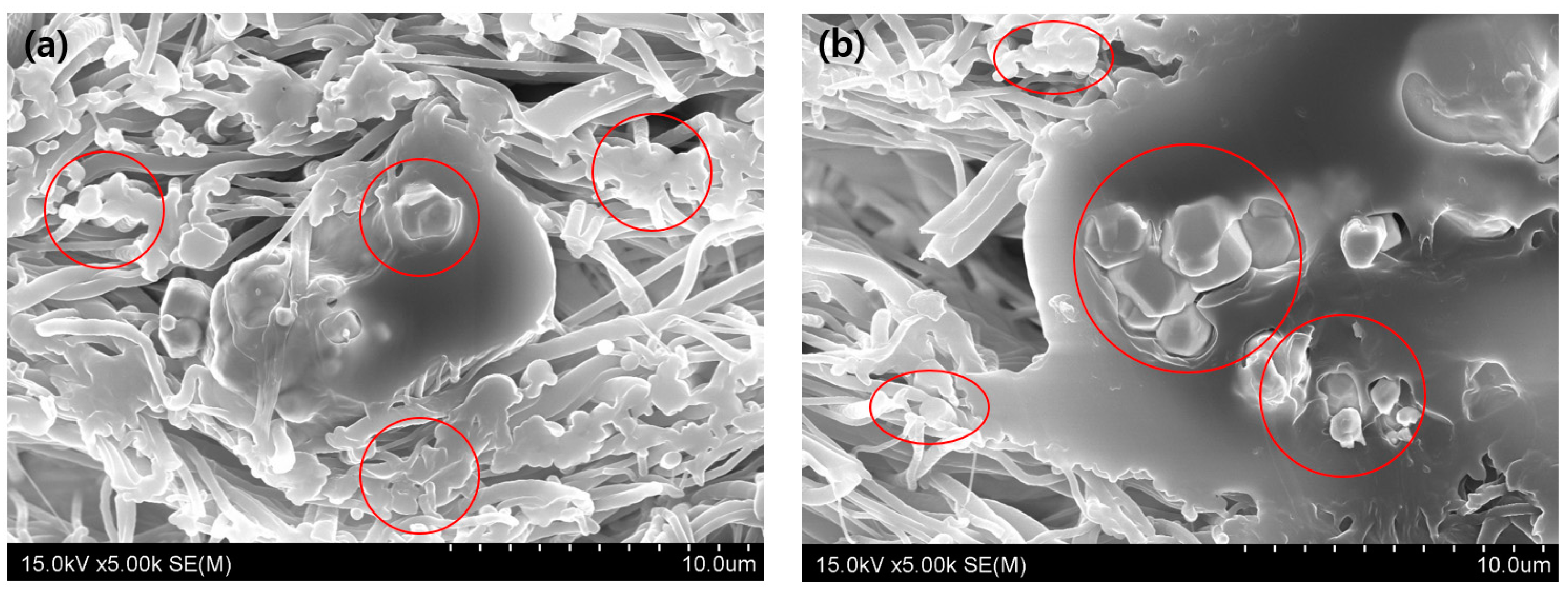 Coatings 13 01028 g005