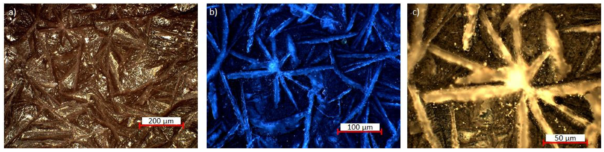 Coatings 13 01029 g002