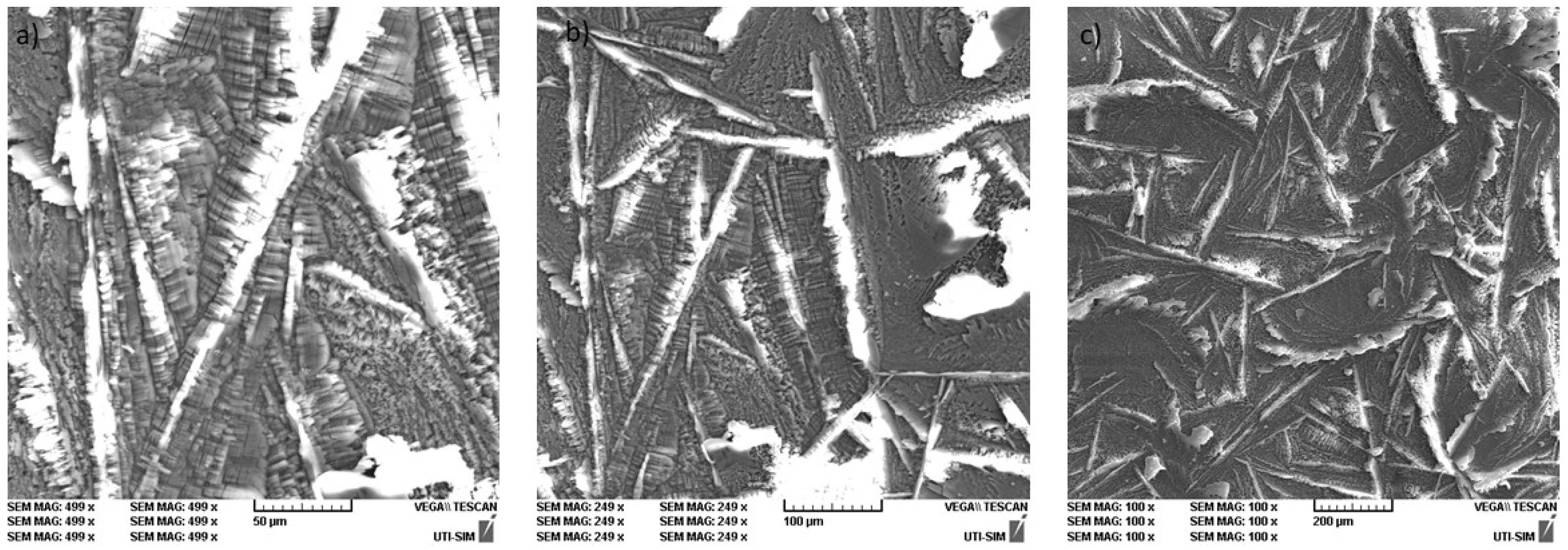 Coatings 13 01029 g003