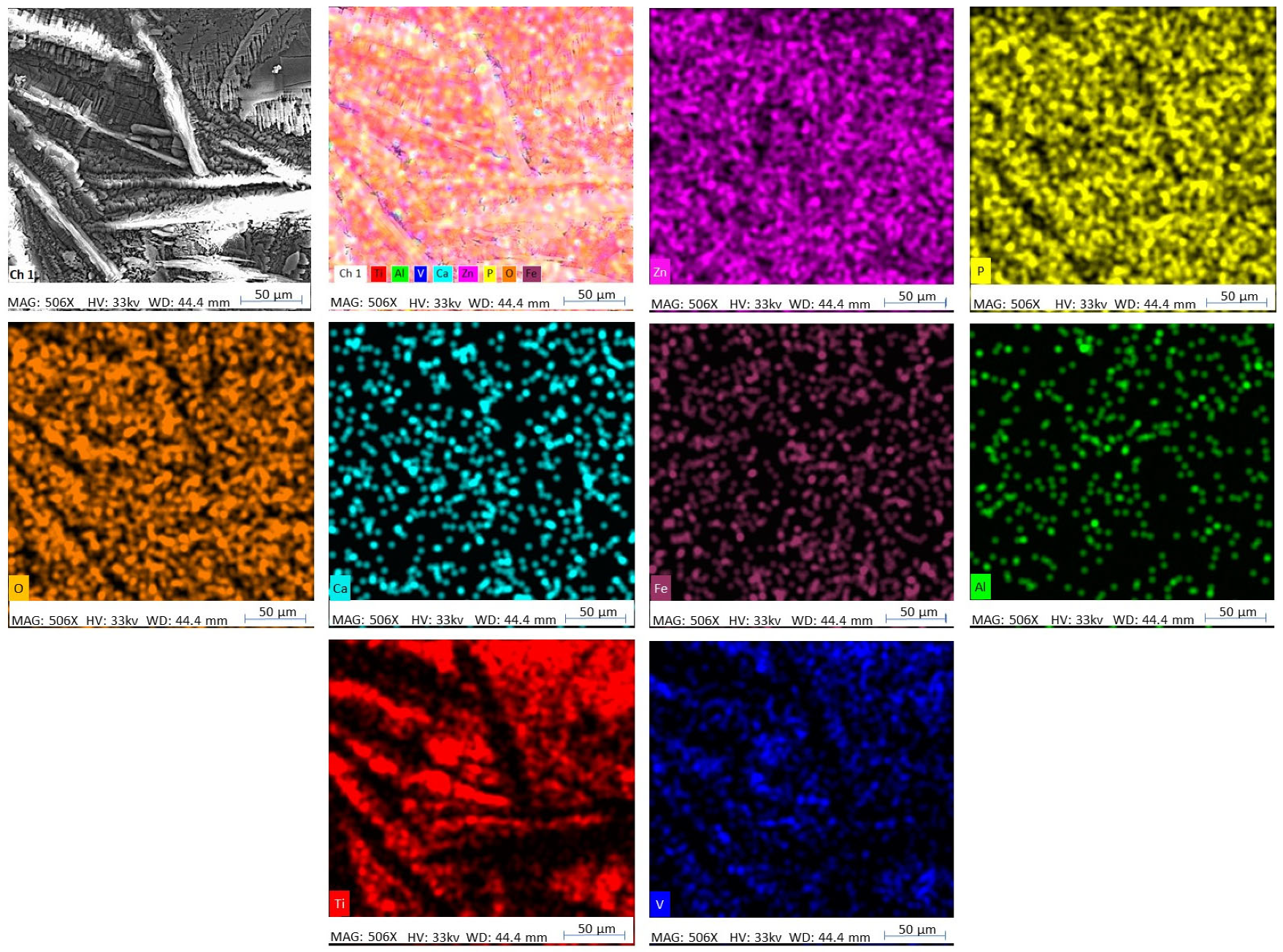 Coatings 13 01029 g004