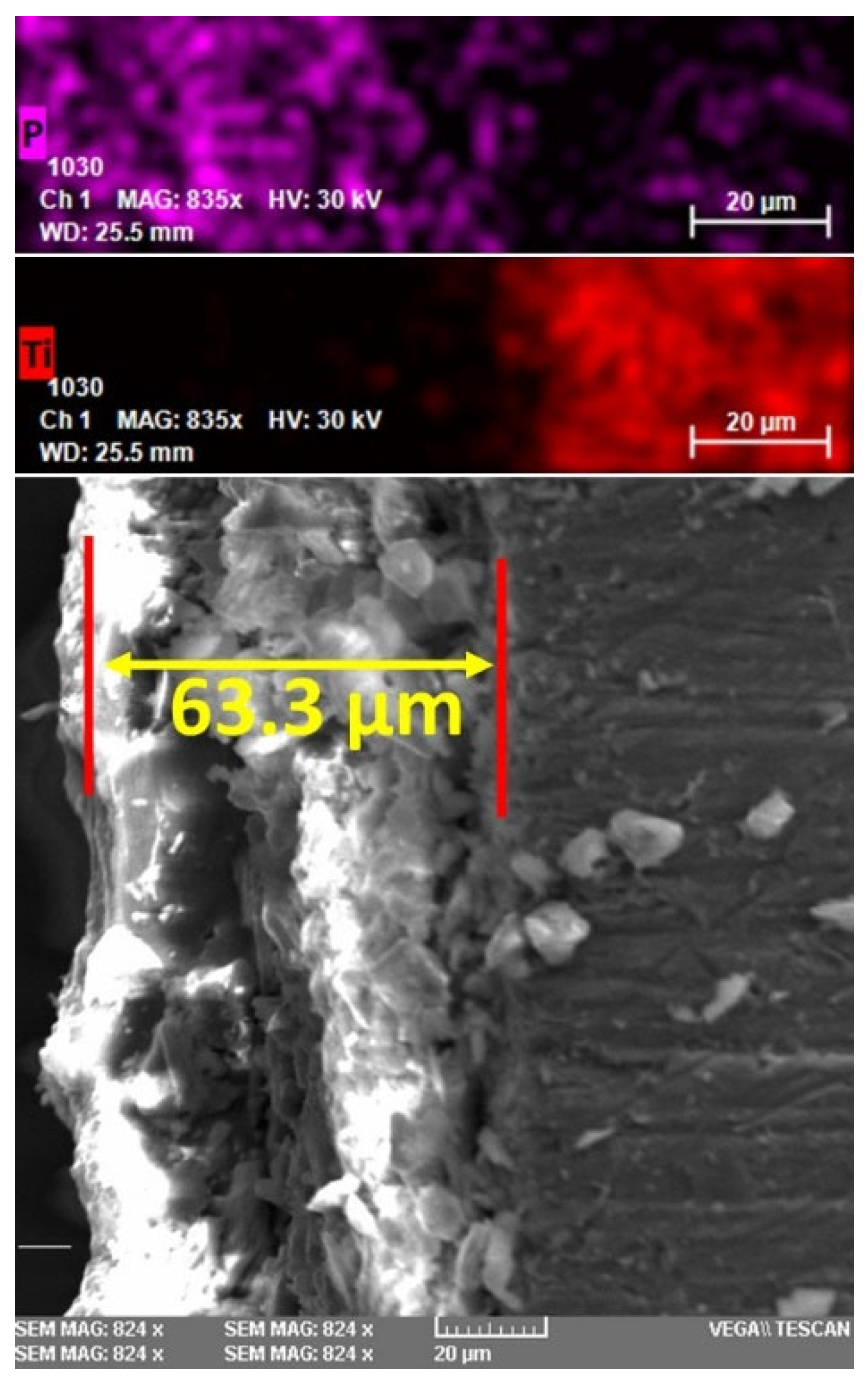 Coatings 13 01029 g006