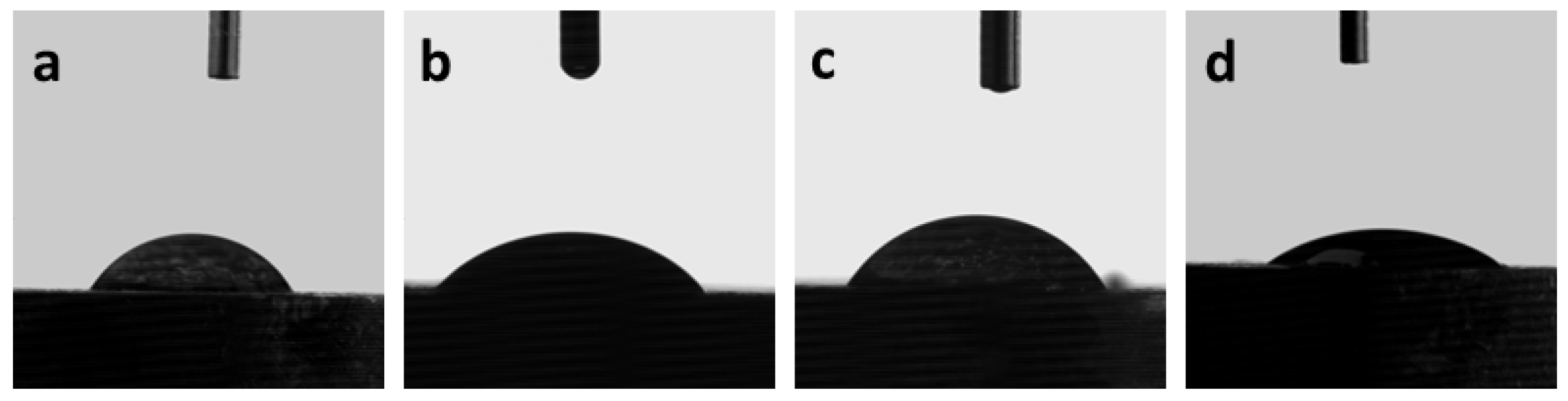Coatings 13 01029 g010