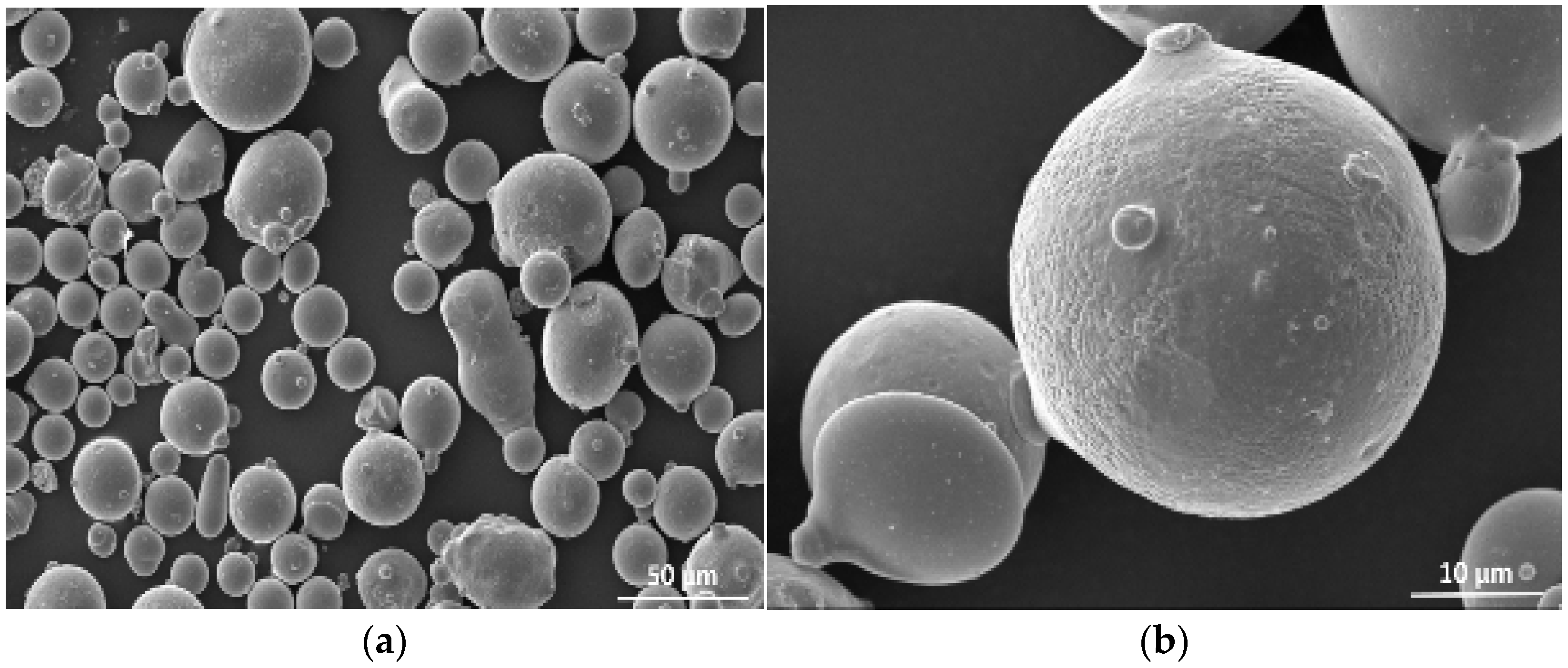 Coatings 13 01033 g001