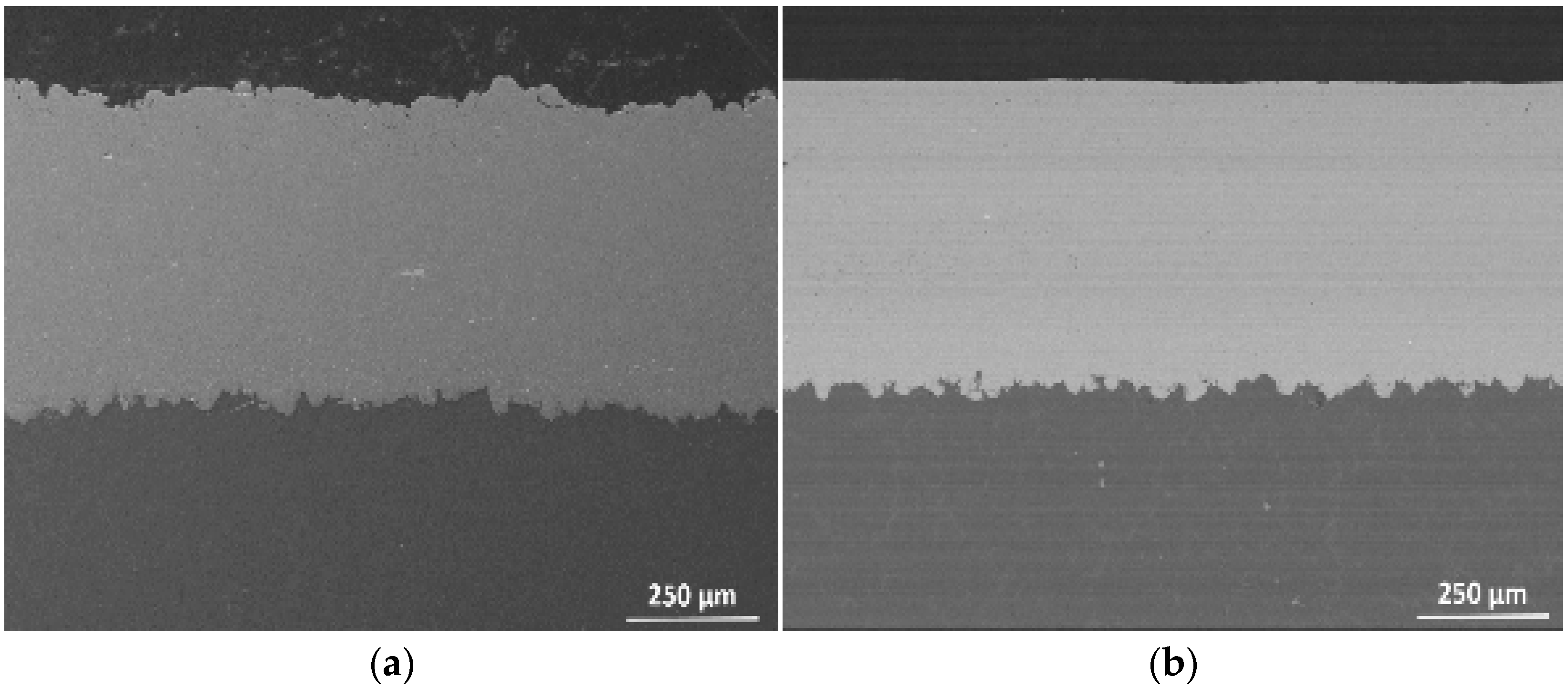 Coatings 13 01033 g003a