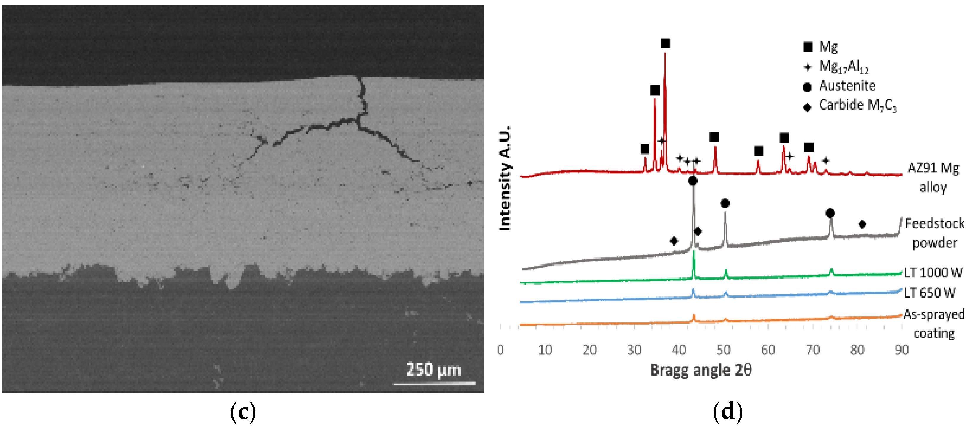 Coatings 13 01033 g003b