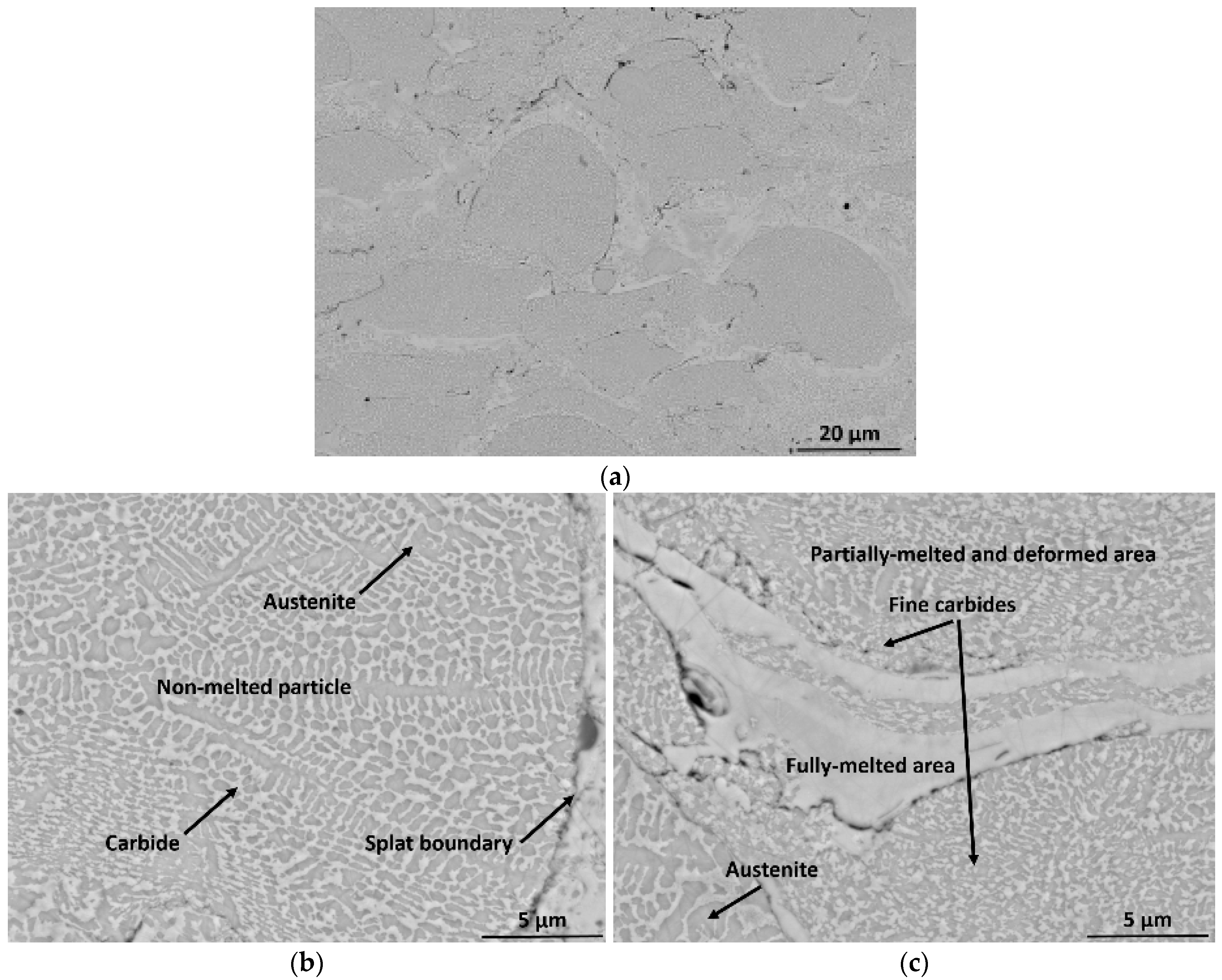 Coatings 13 01033 g004