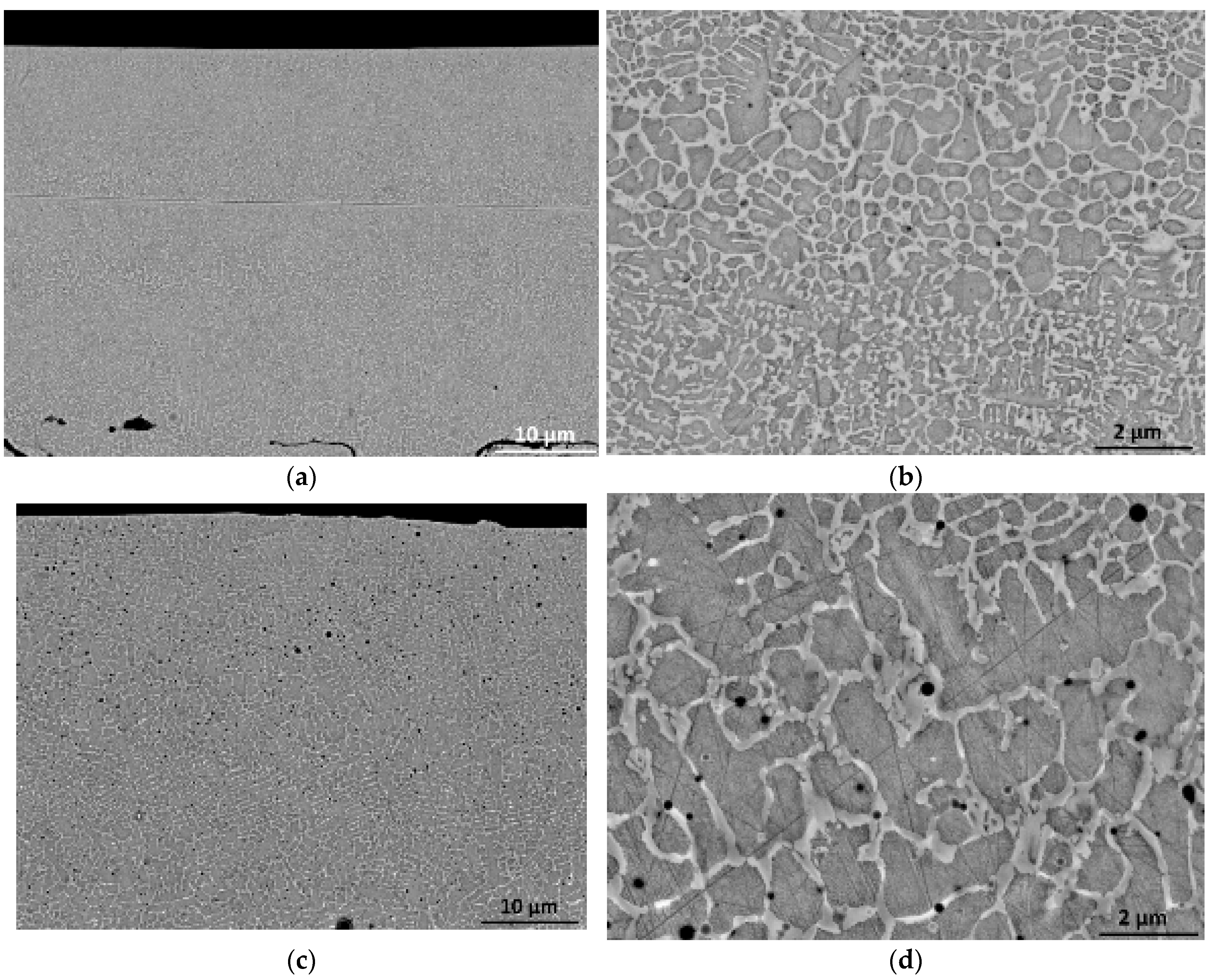 Coatings 13 01033 g005