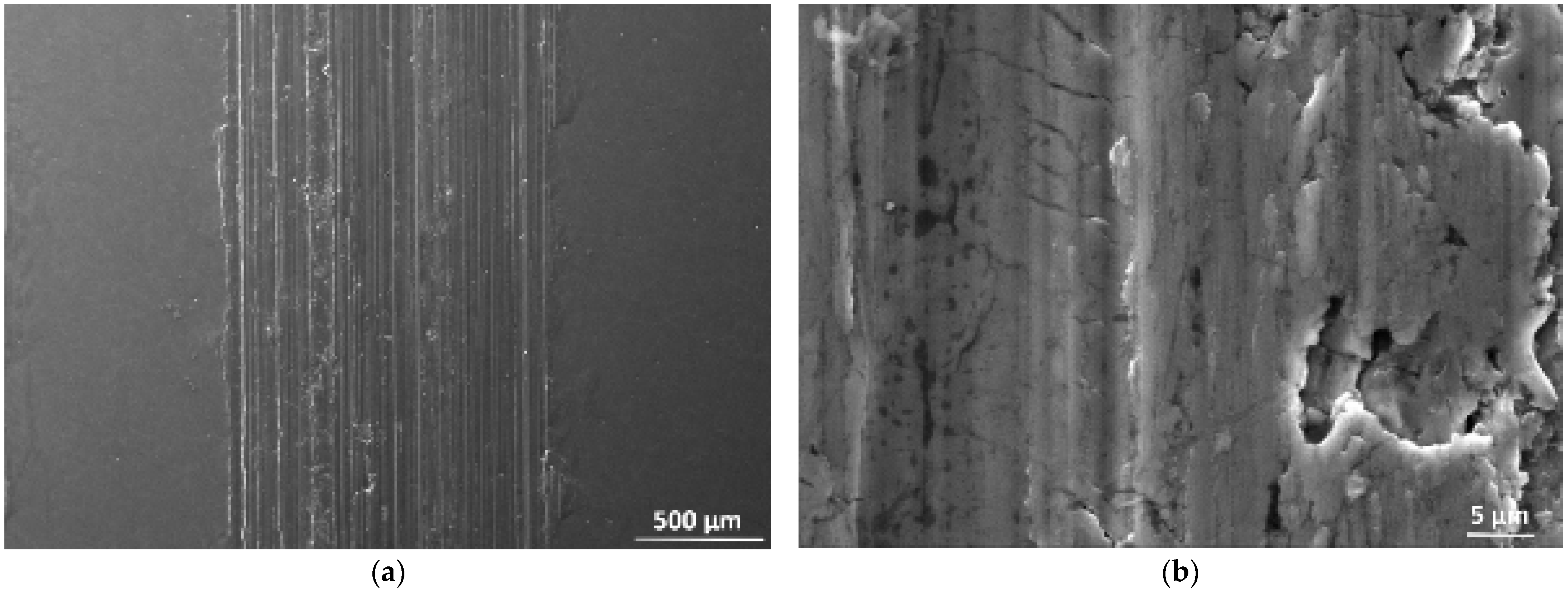 Coatings 13 01033 g009a