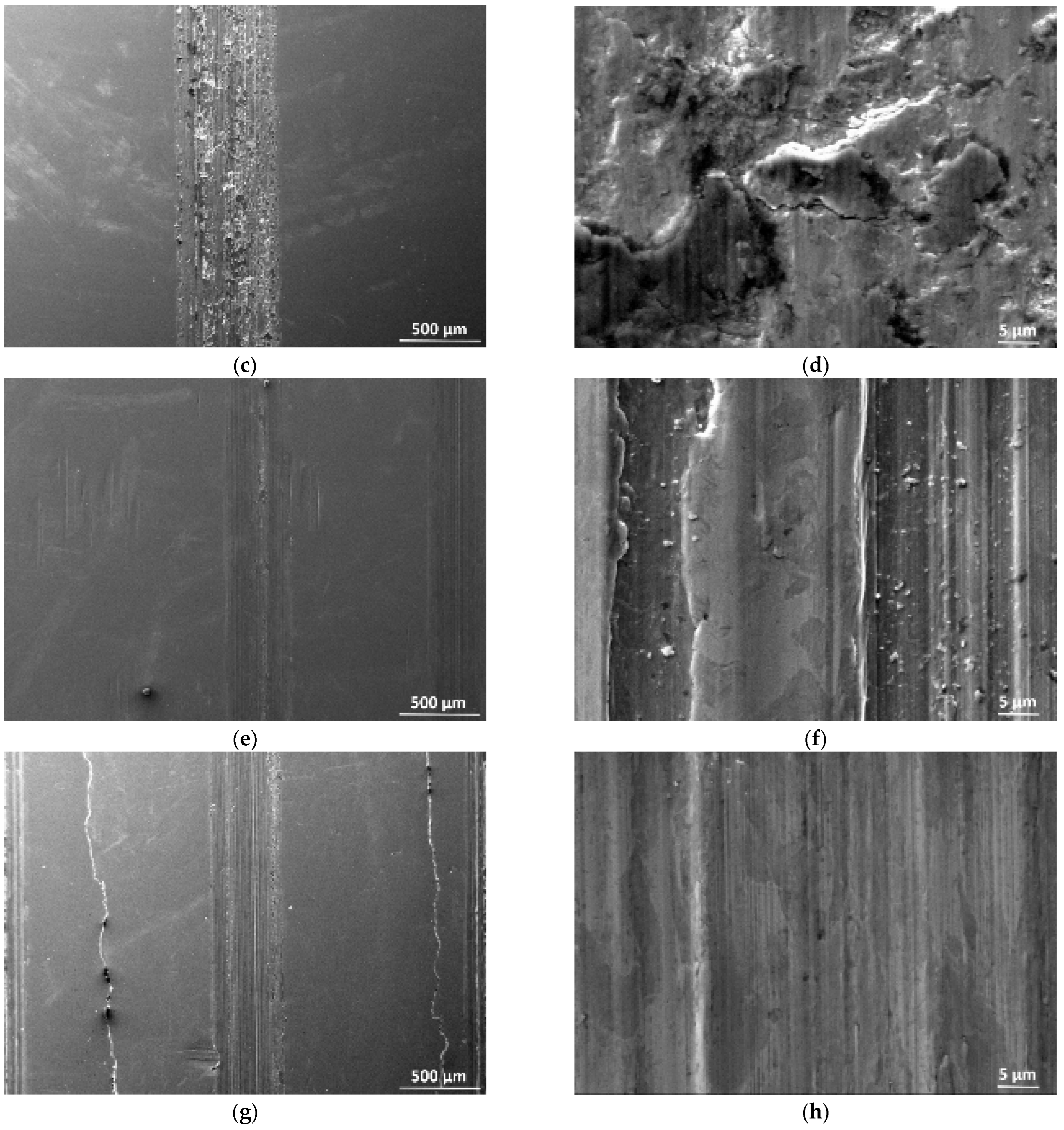 Coatings 13 01033 g009b