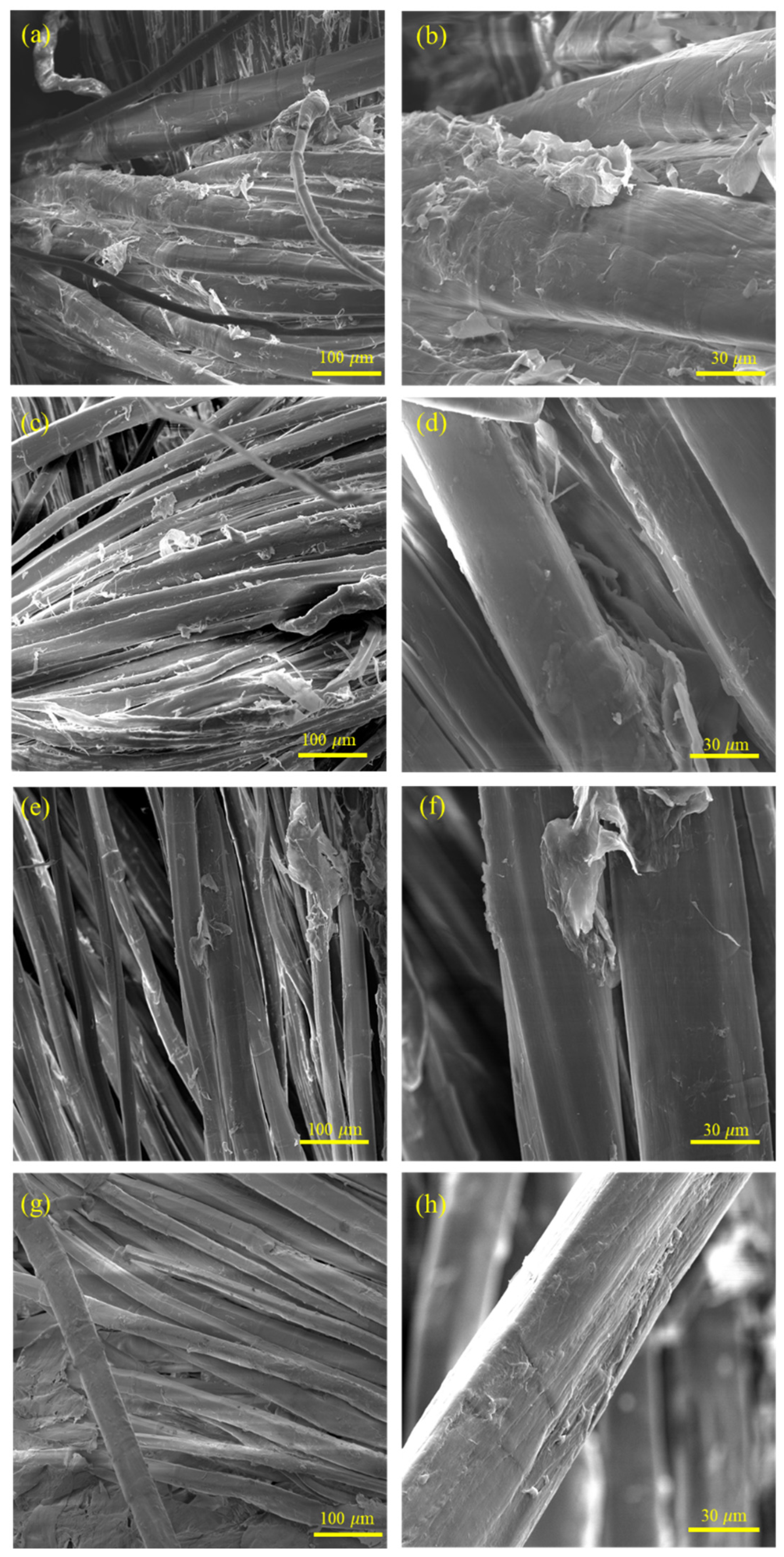 Coatings 13 01036 g001