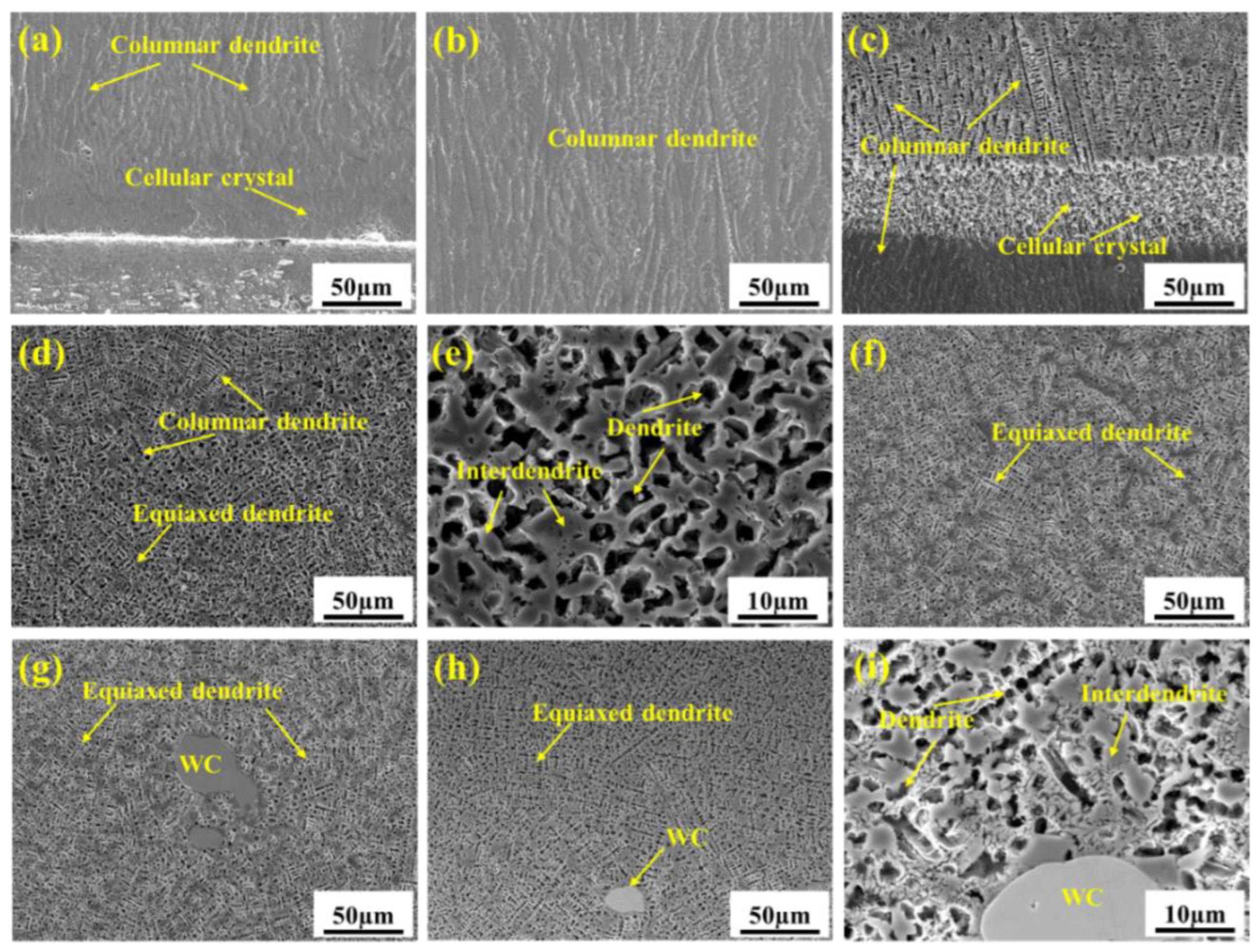 Coatings 13 01039 g008