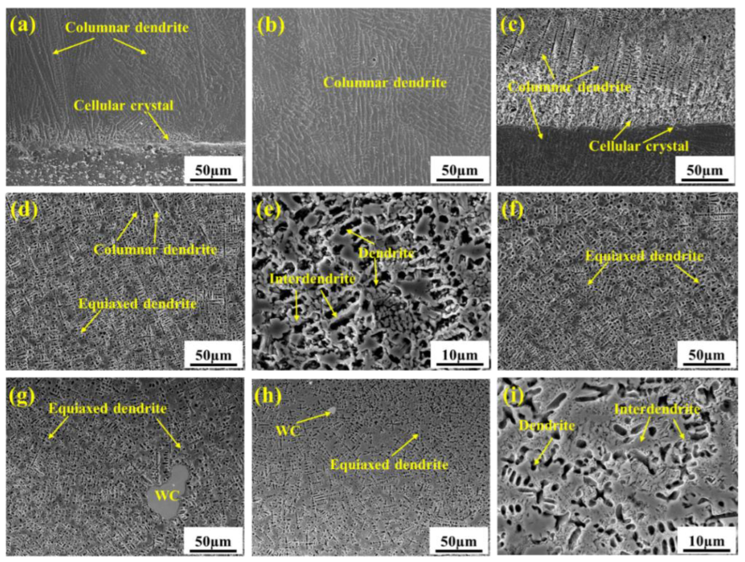 Coatings 13 01039 g010