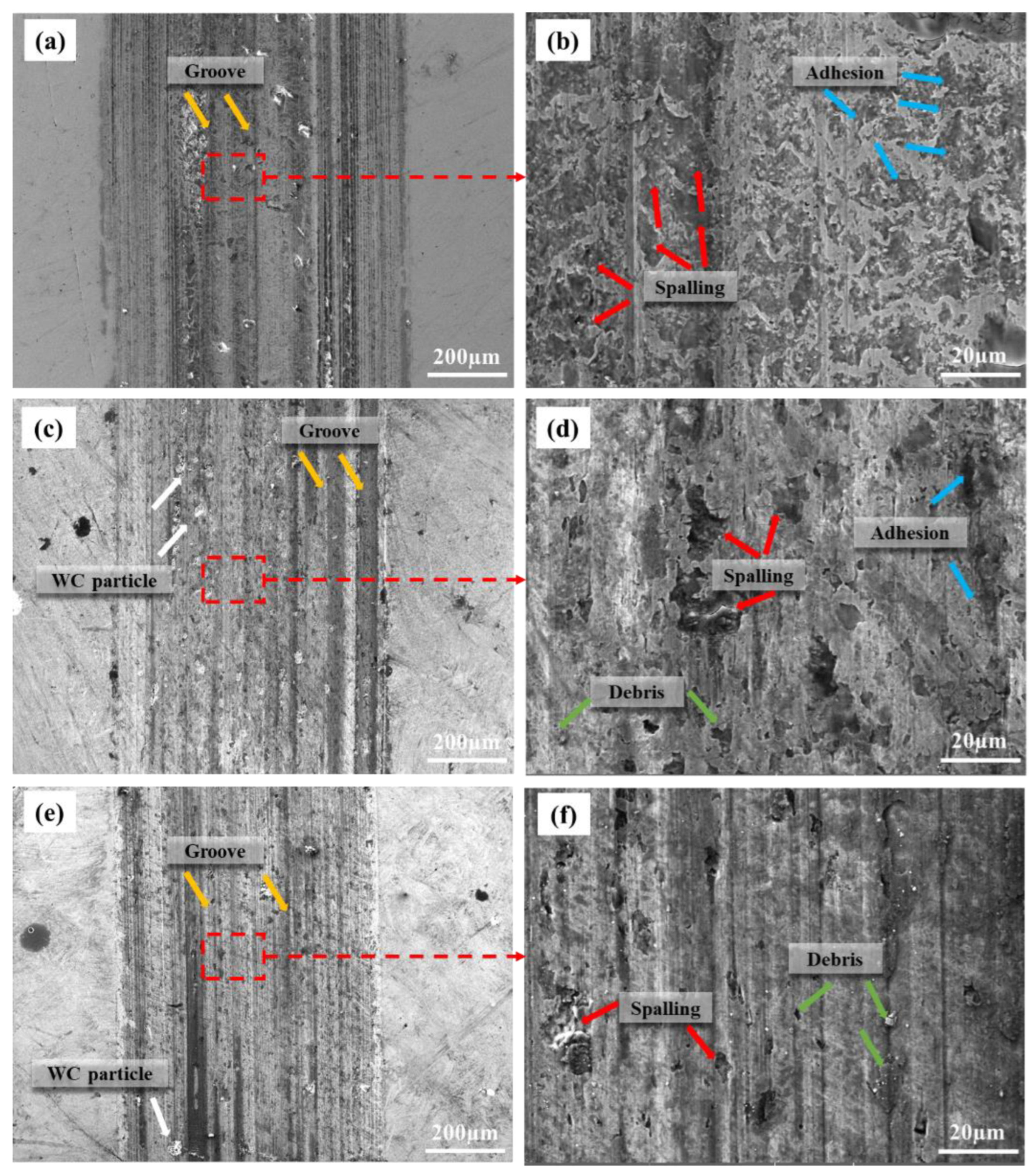 Coatings 13 01039 g014