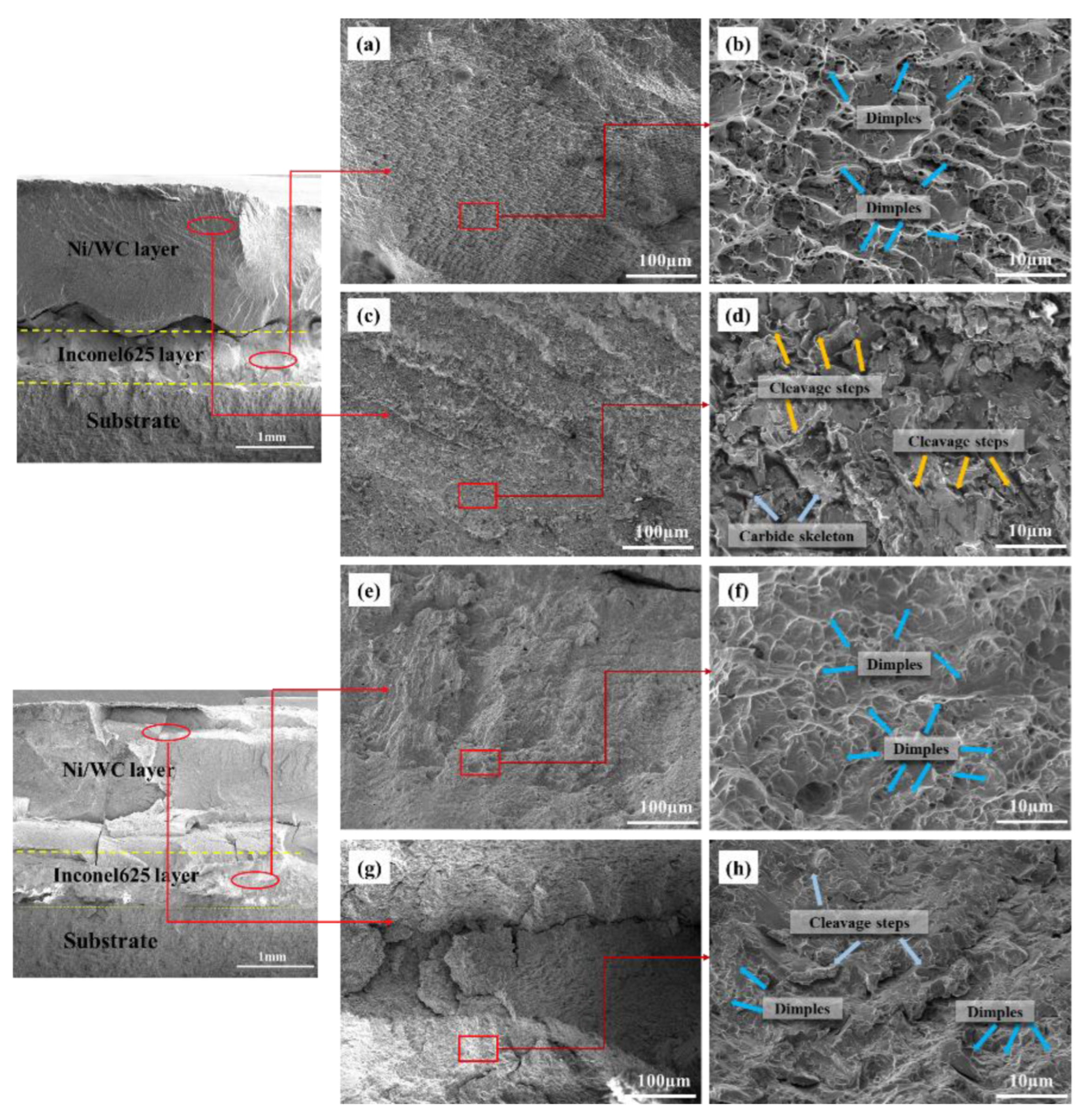 Coatings 13 01039 g017