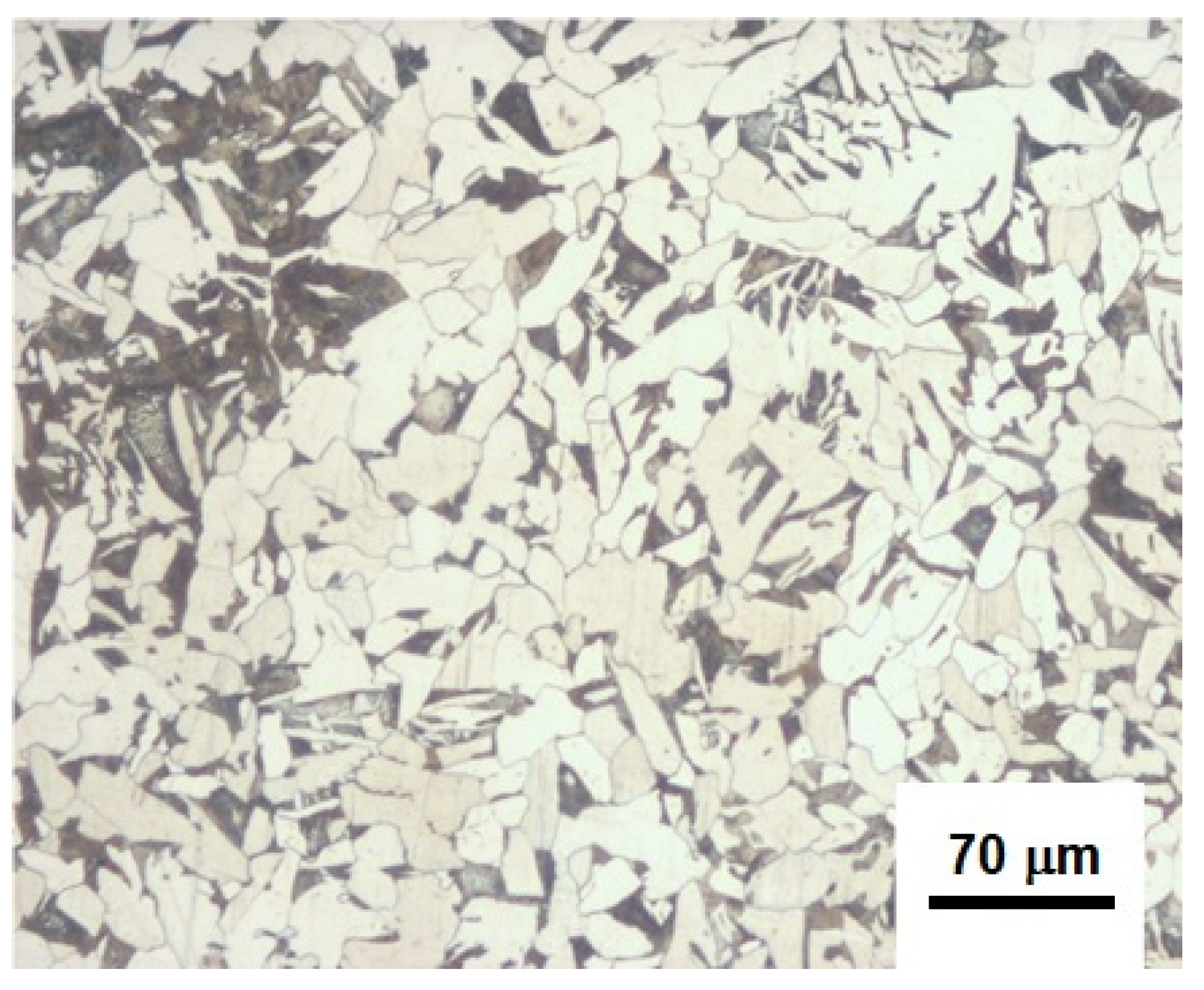 Coatings 13 01040 g002