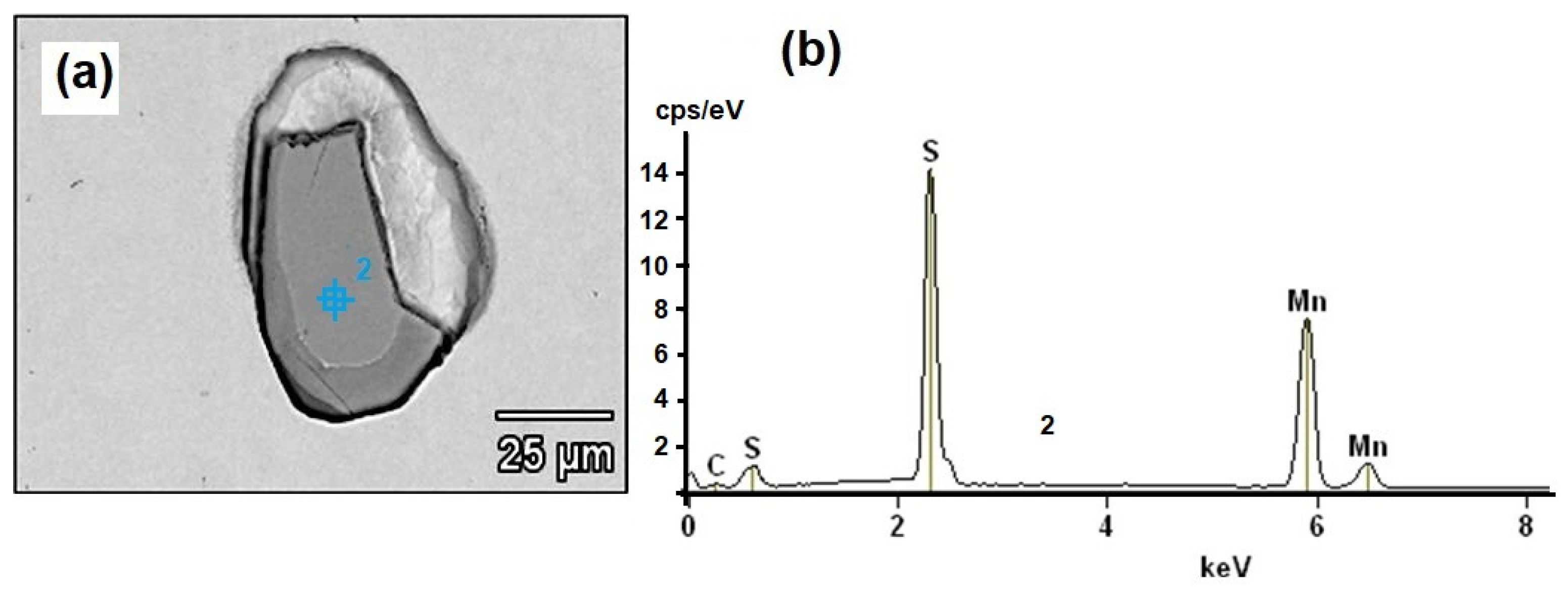 Coatings 13 01040 g005