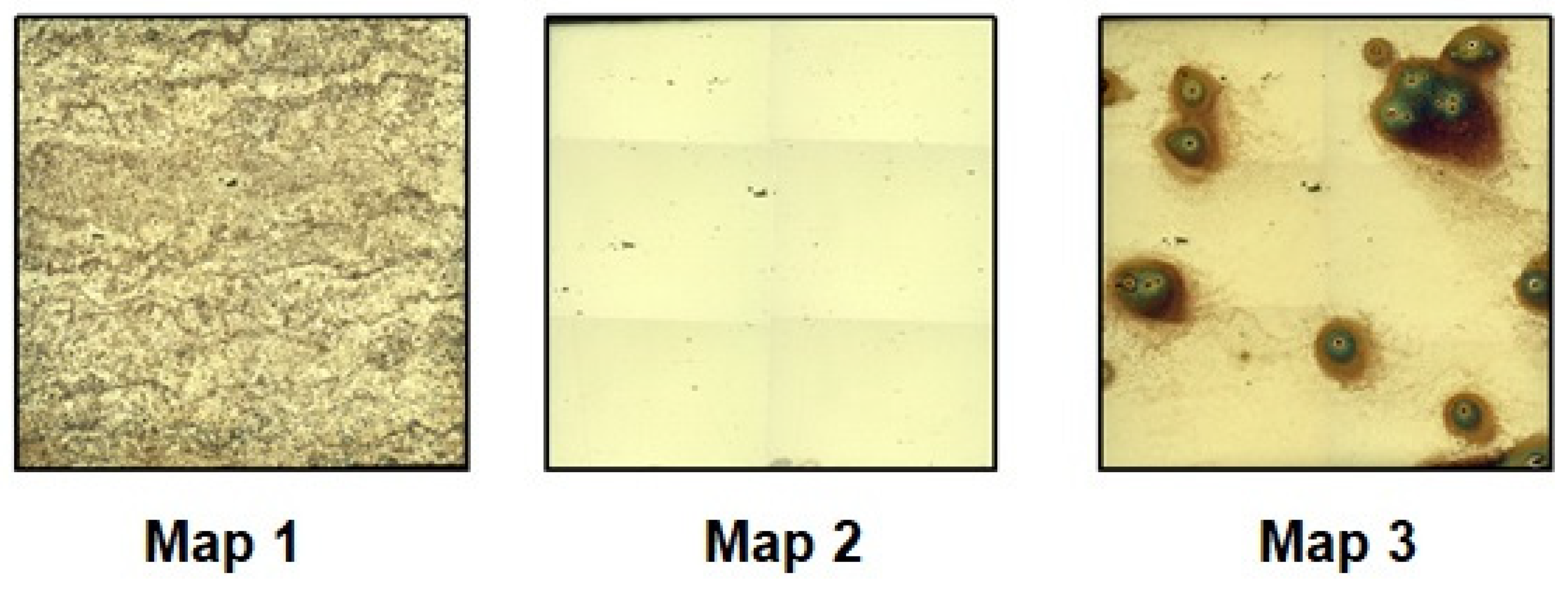 Coatings 13 01040 g010