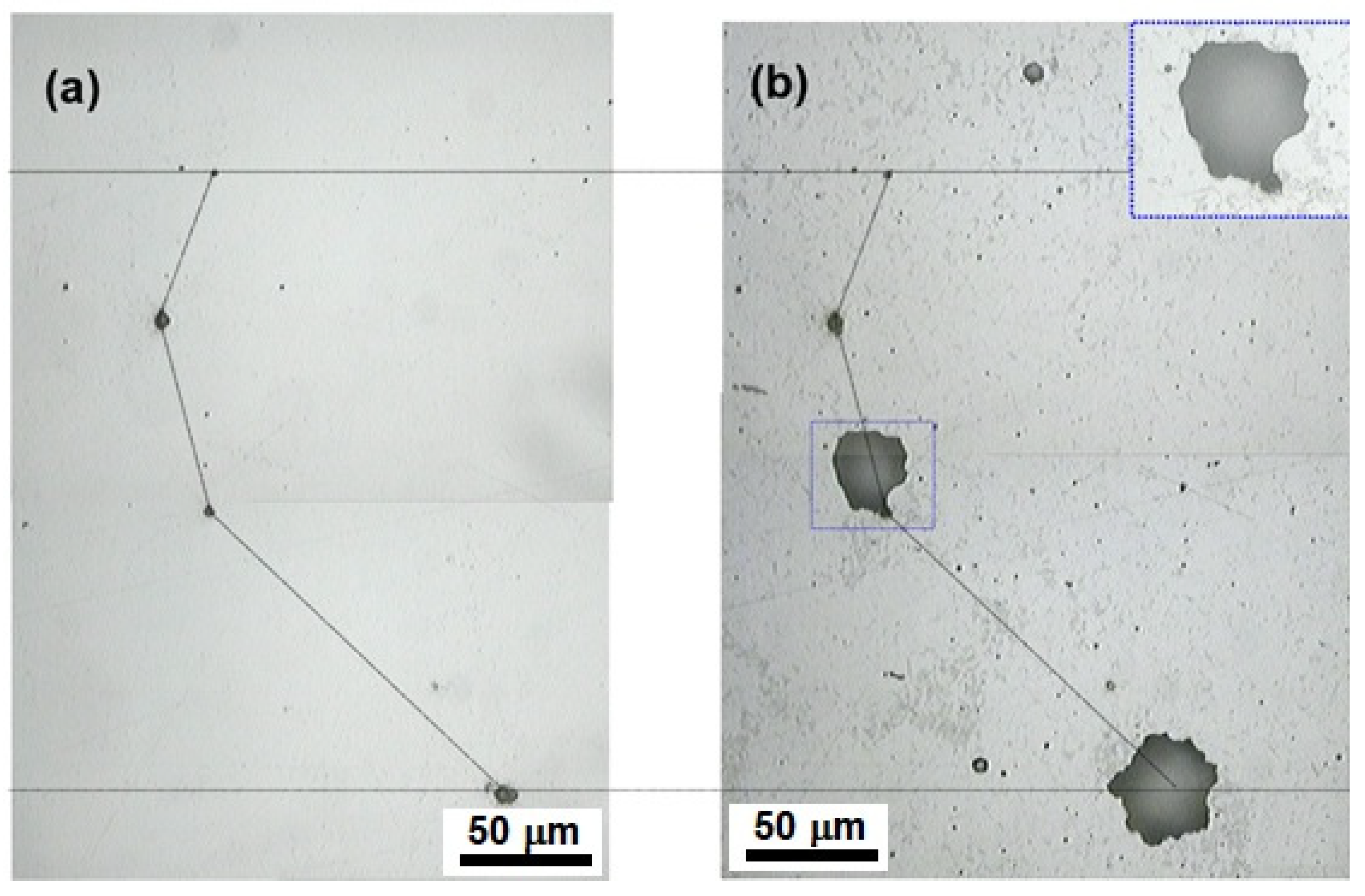 Coatings 13 01040 g014
