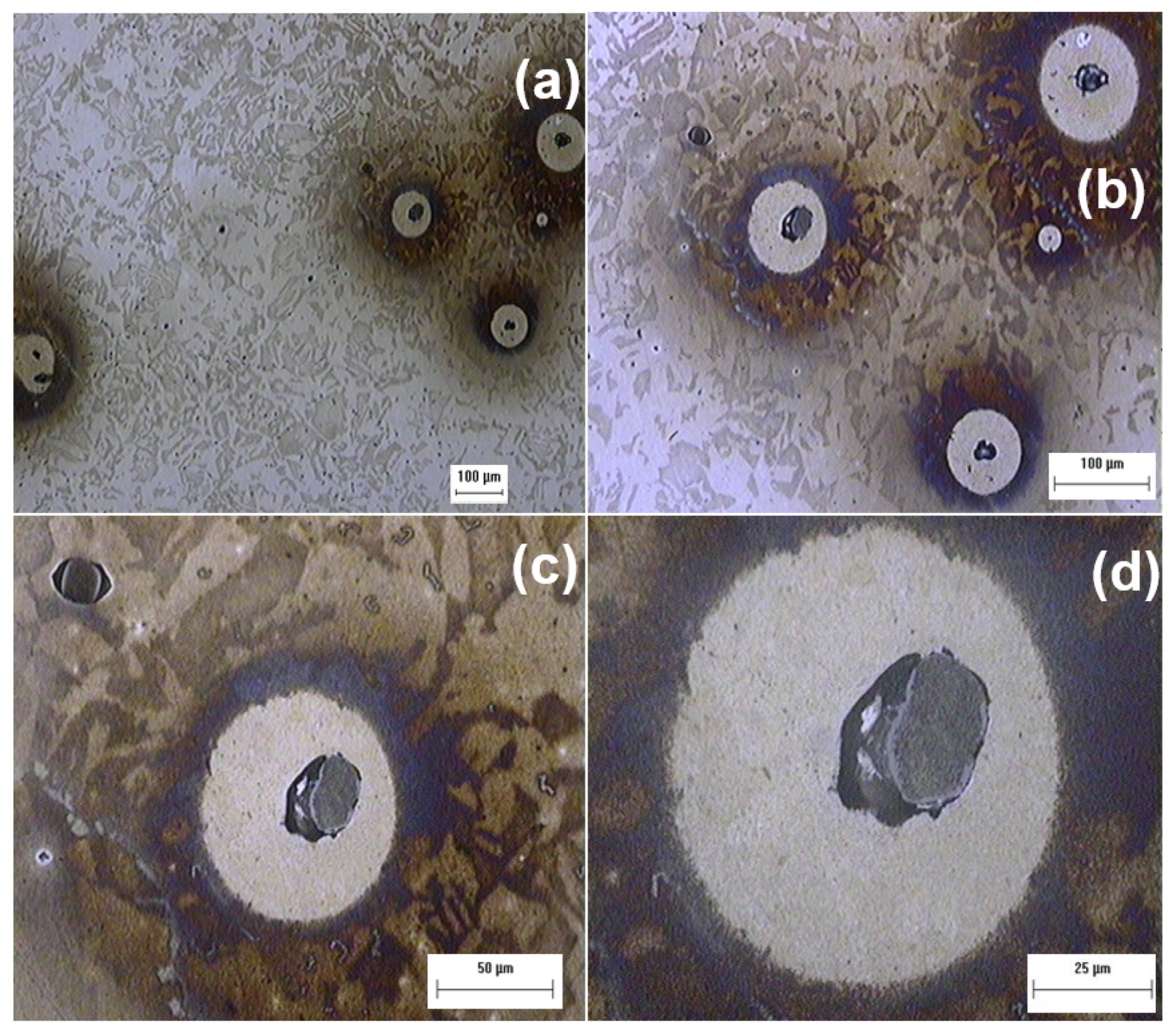Coatings 13 01040 g015