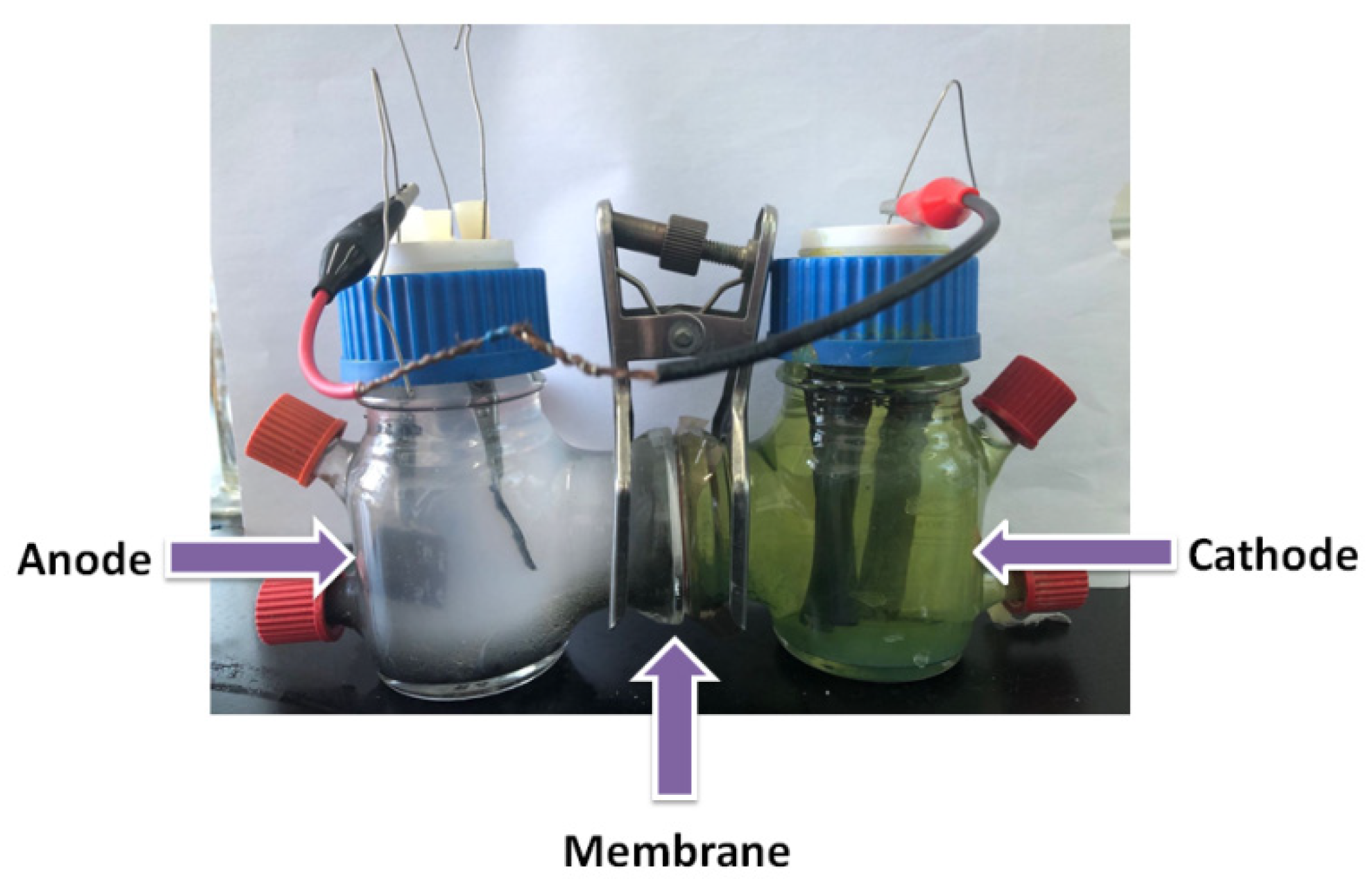 Coatings 13 01043 g001 Coatings 13 01043 g001
