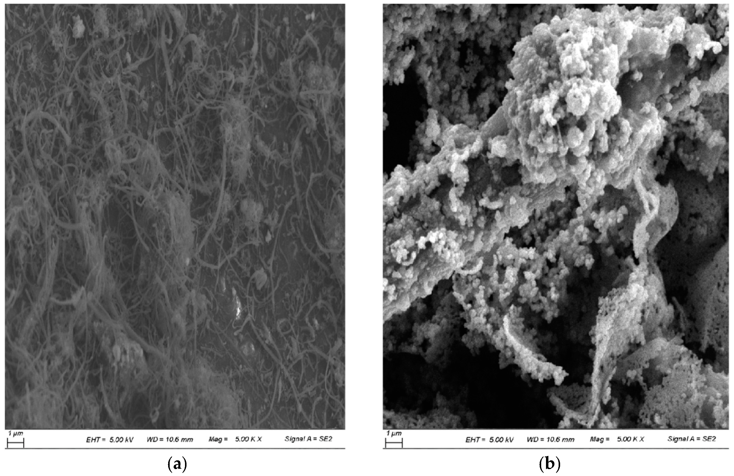 Coatings 13 01043 g002 Coatings 13 01043 g002