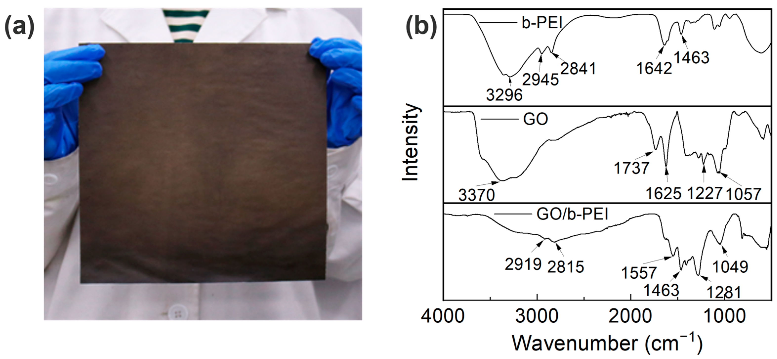 Coatings 13 01047 g001