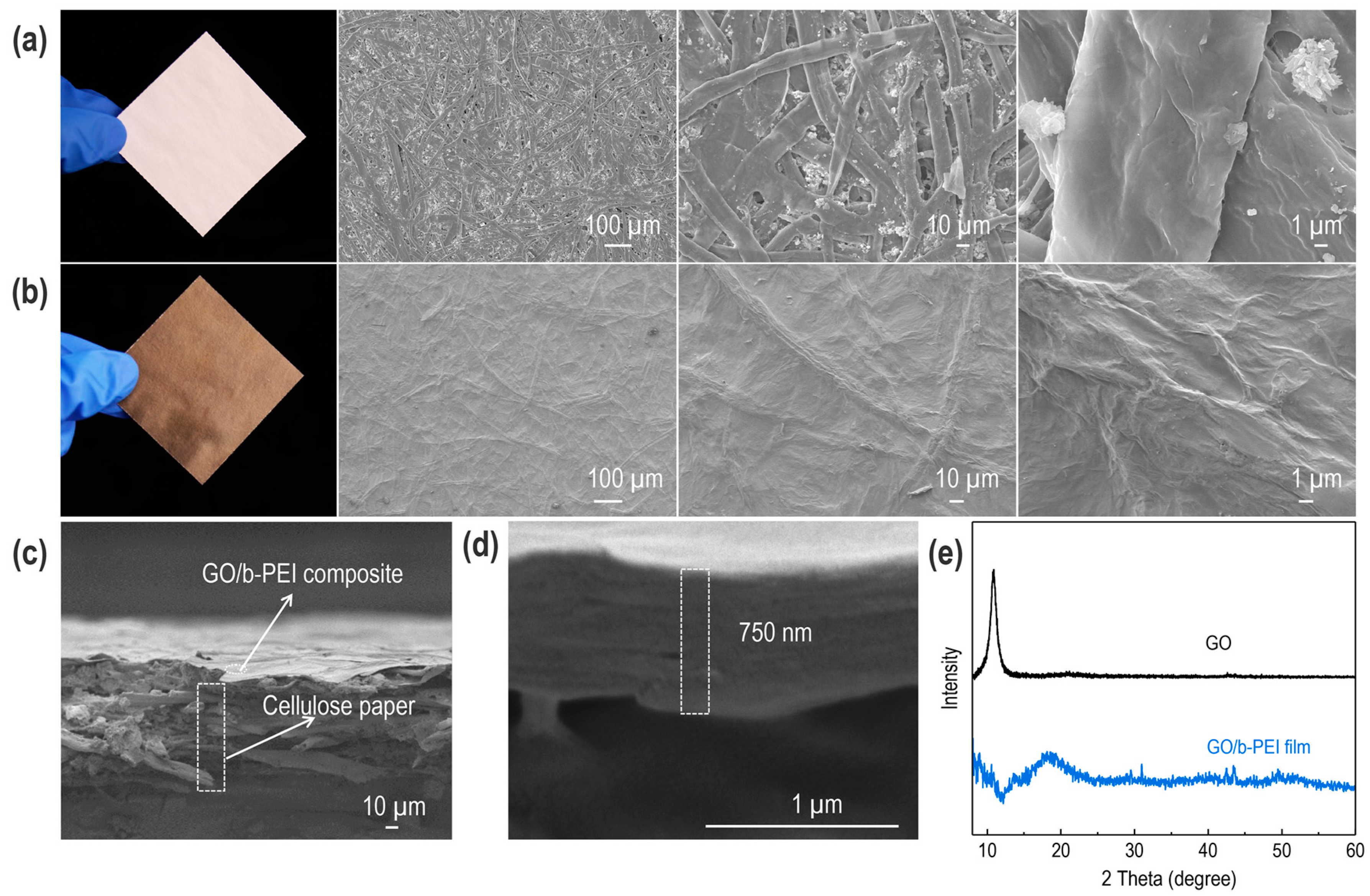 Coatings 13 01047 g002