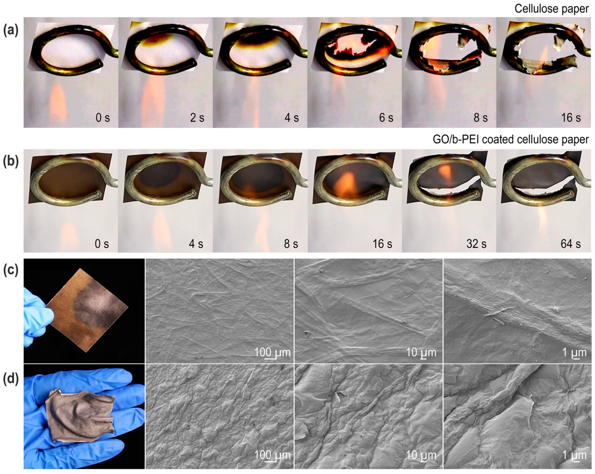 Coatings 13 01047 g003