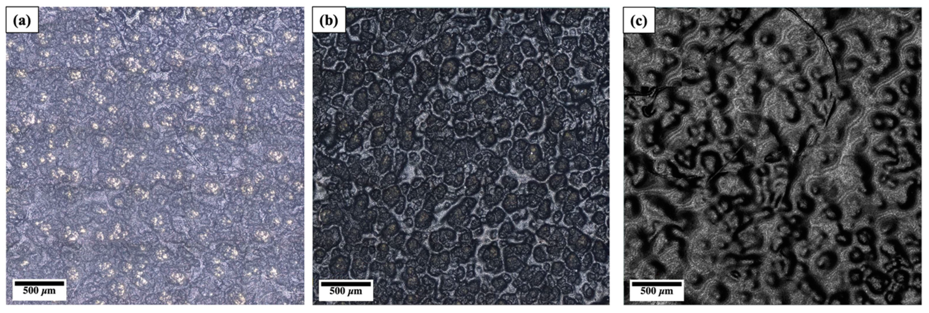 Coatings 13 01049 g002 Coatings 13 01049 g002