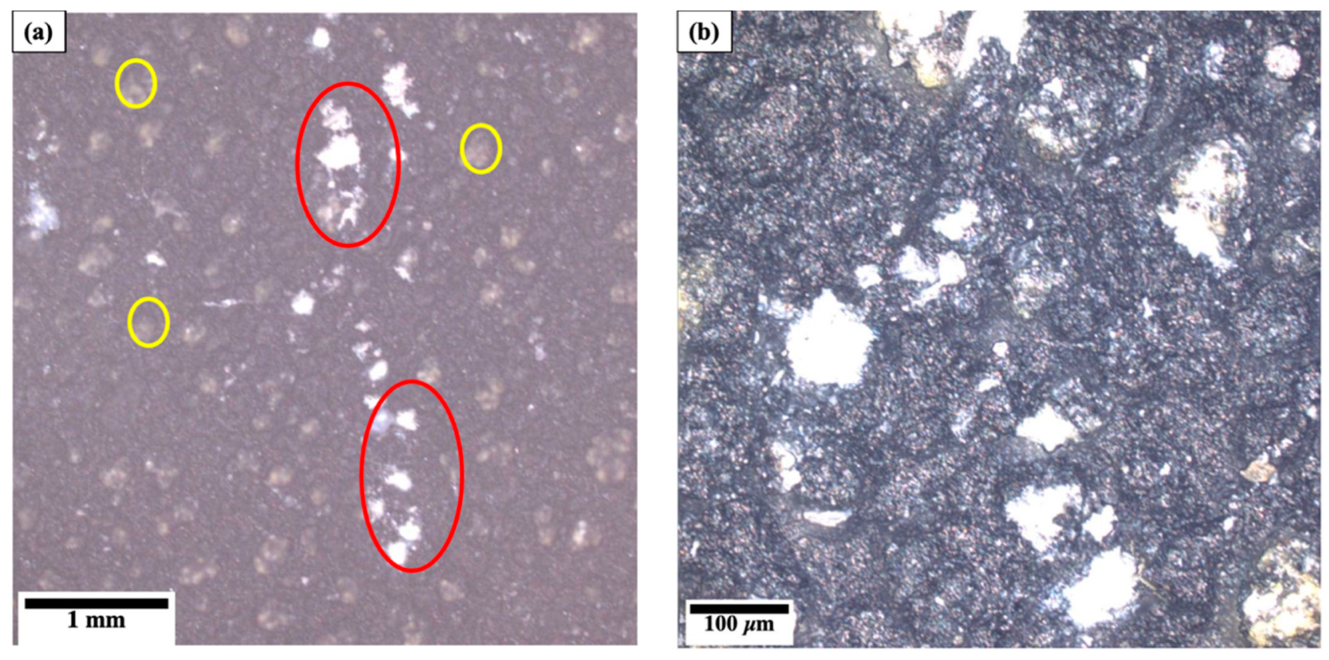 Coatings 13 01049 g007 Coatings 13 01049 g007