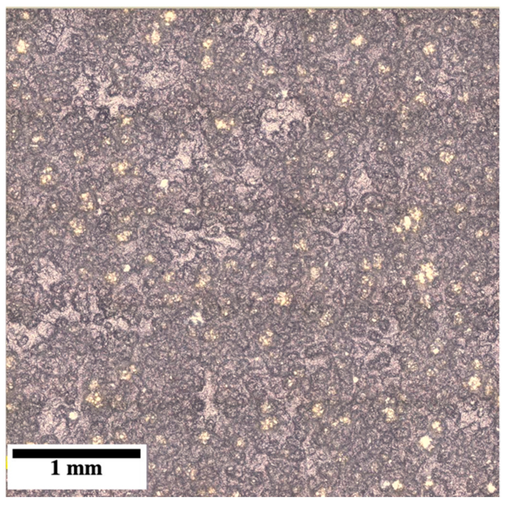 Coatings 13 01049 g008 Coatings 13 01049 g008