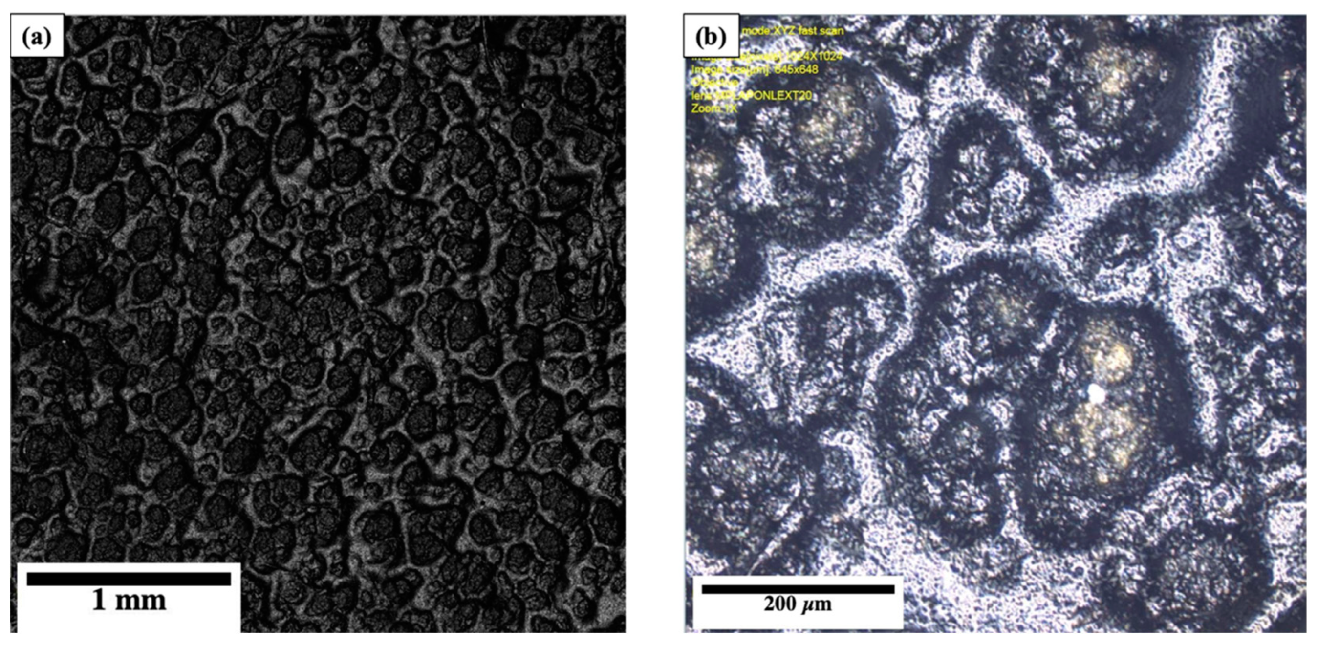 Coatings 13 01049 g009 Coatings 13 01049 g009