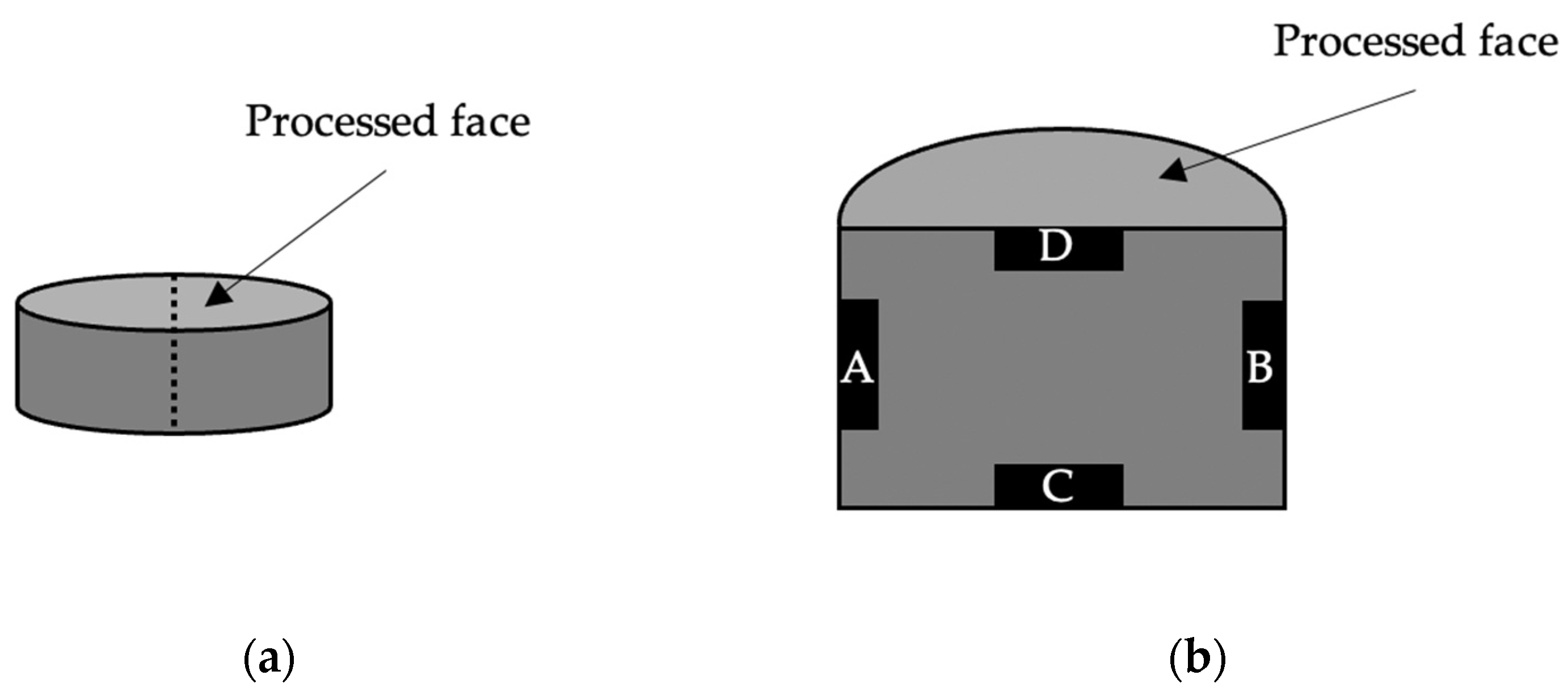 Coatings 13 01051 g002