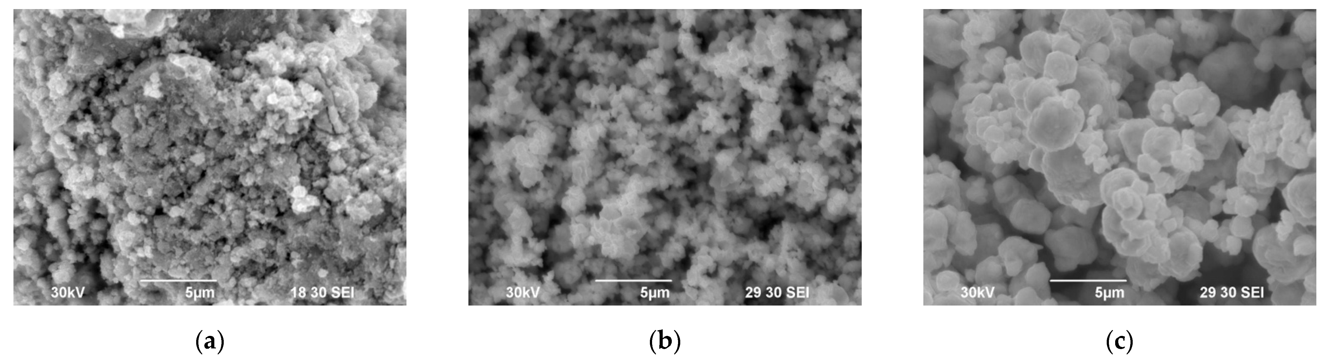 Coatings 13 01051 g003