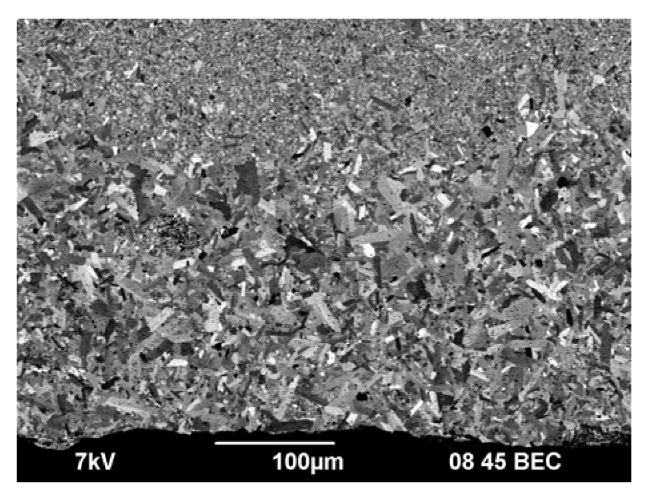 Coatings 13 01051 g010