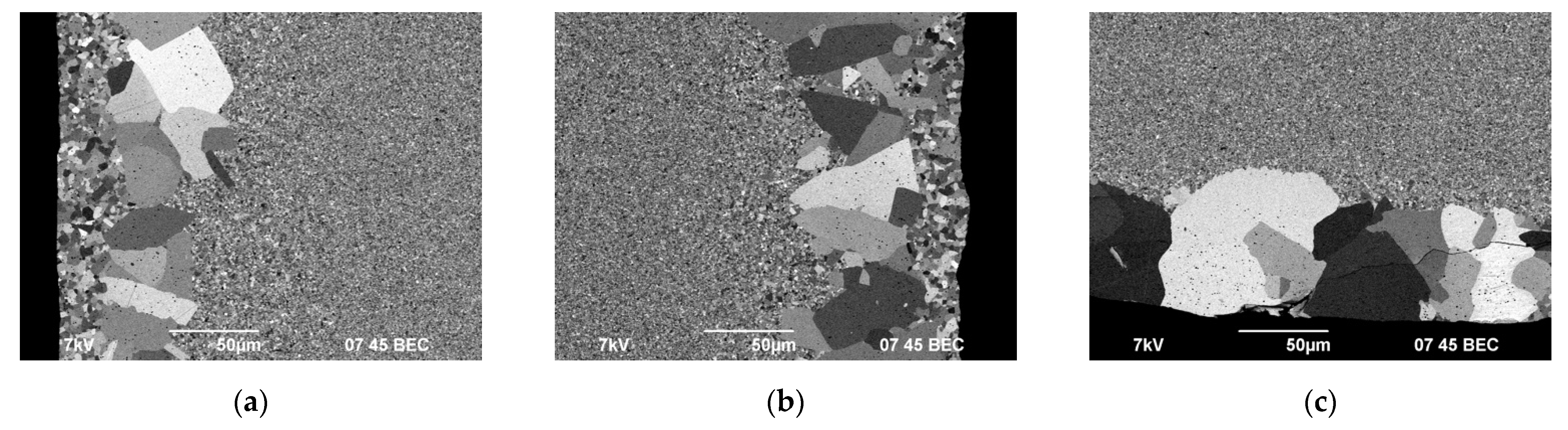 Coatings 13 01051 g011