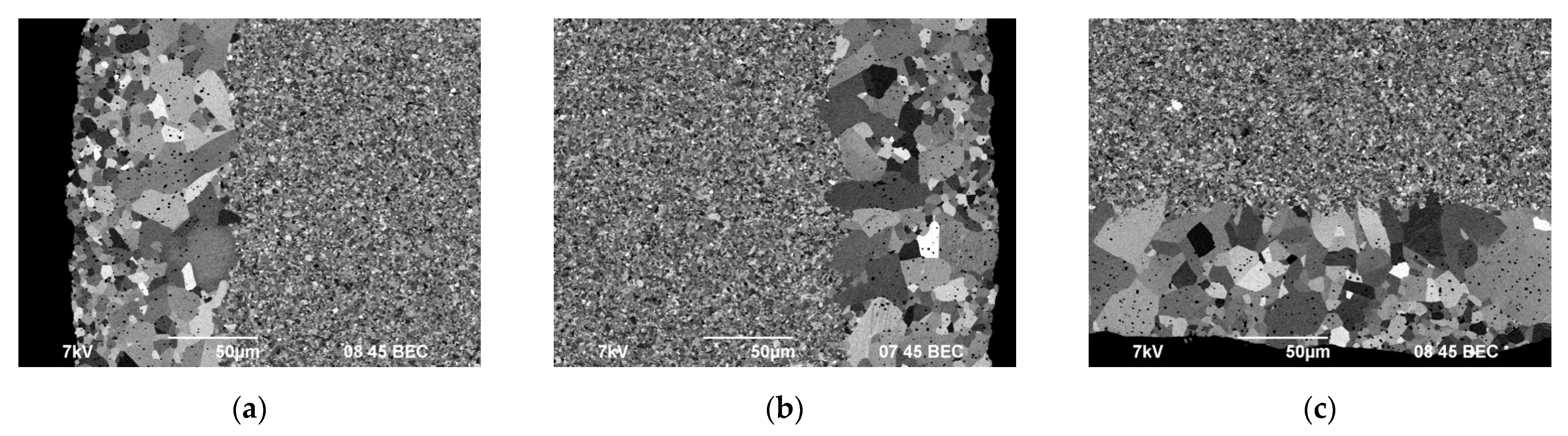 Coatings 13 01051 g012