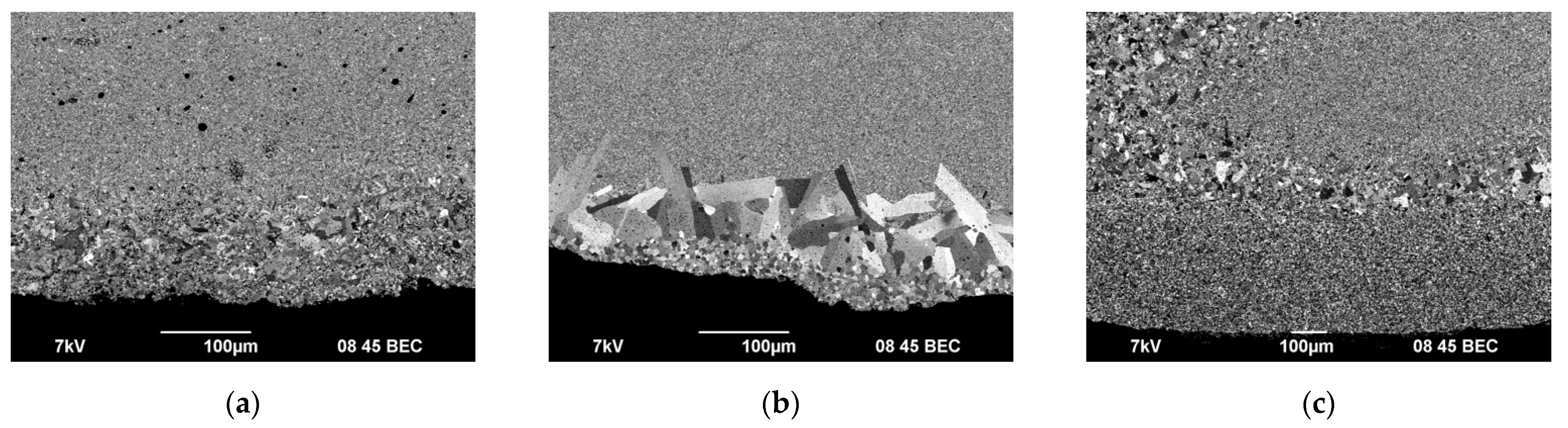 Coatings 13 01051 g016