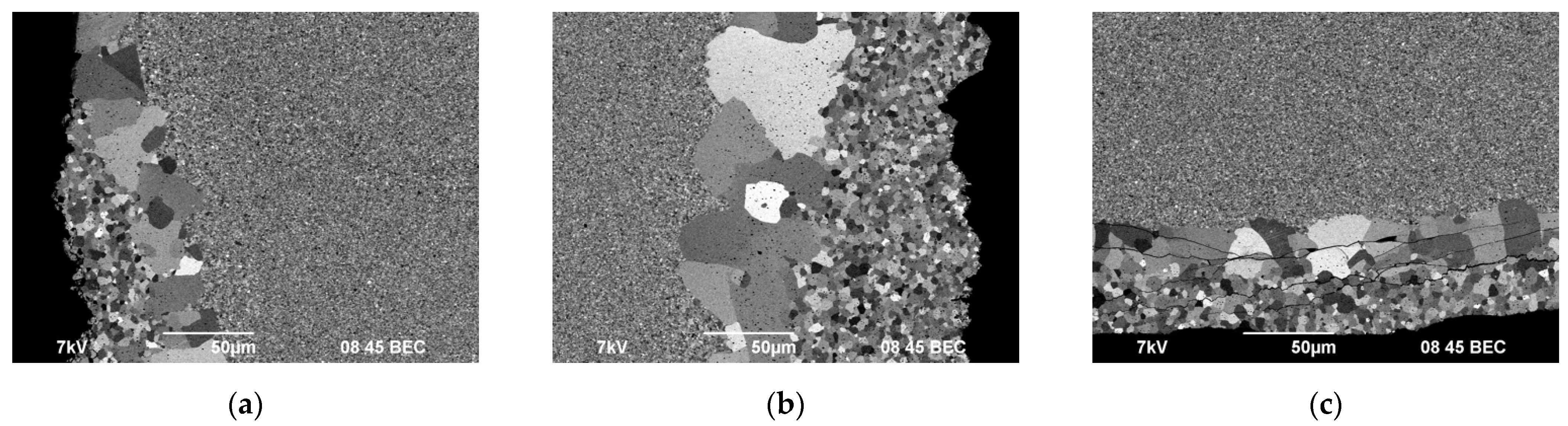 Coatings 13 01051 g017