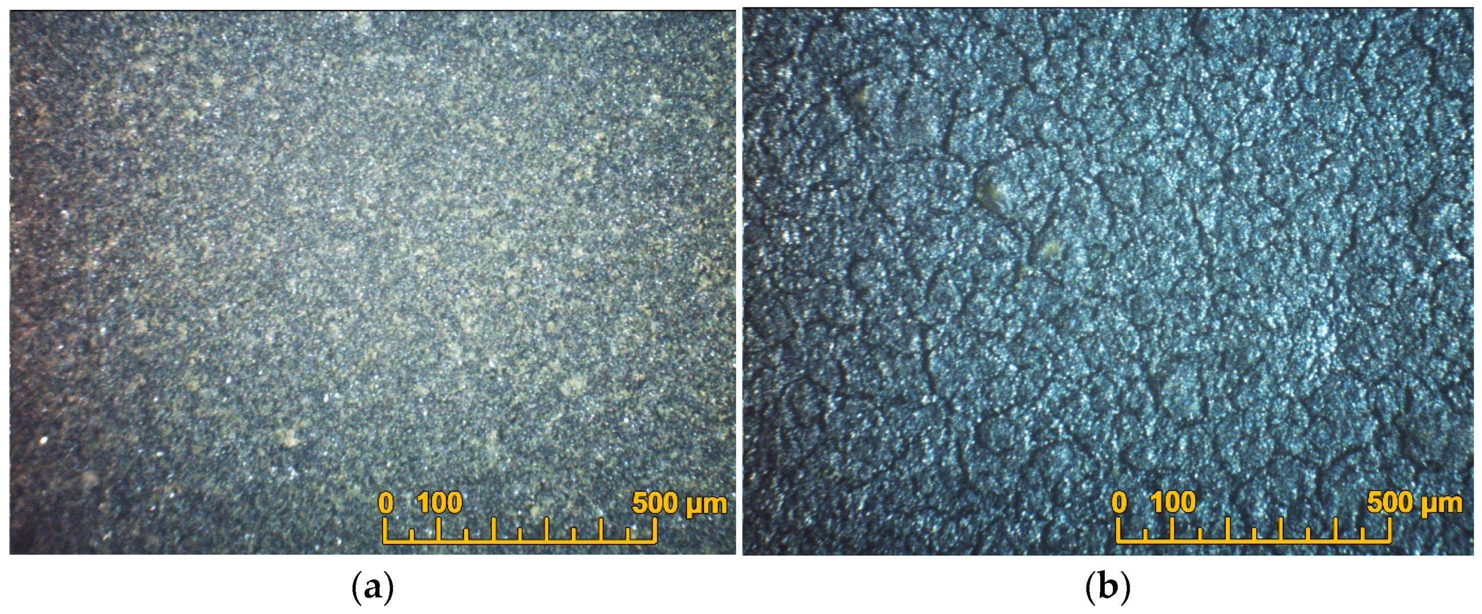 Coatings 13 01053 g007