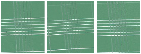 Coatings 13 01054 i010