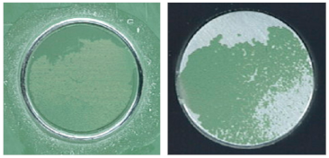 Coatings 13 01054 i017