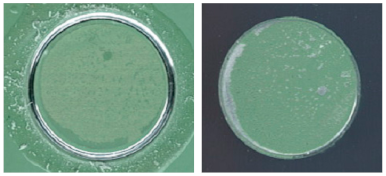 Coatings 13 01054 i018