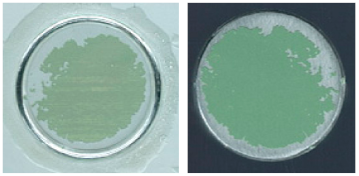 Coatings 13 01054 i019